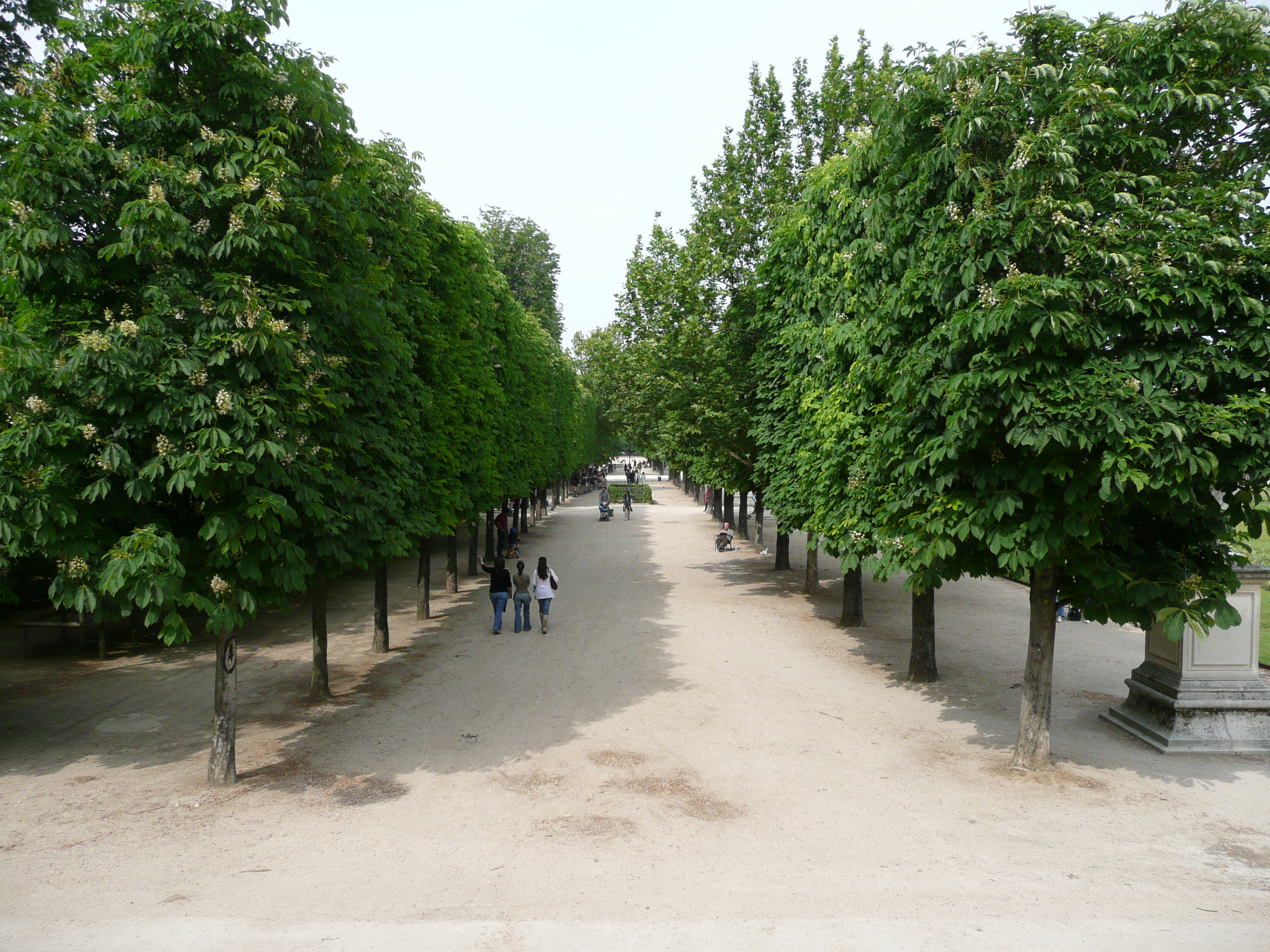 Picture France Paris Garden of Tuileries 2007-05 291 - Center Garden of Tuileries