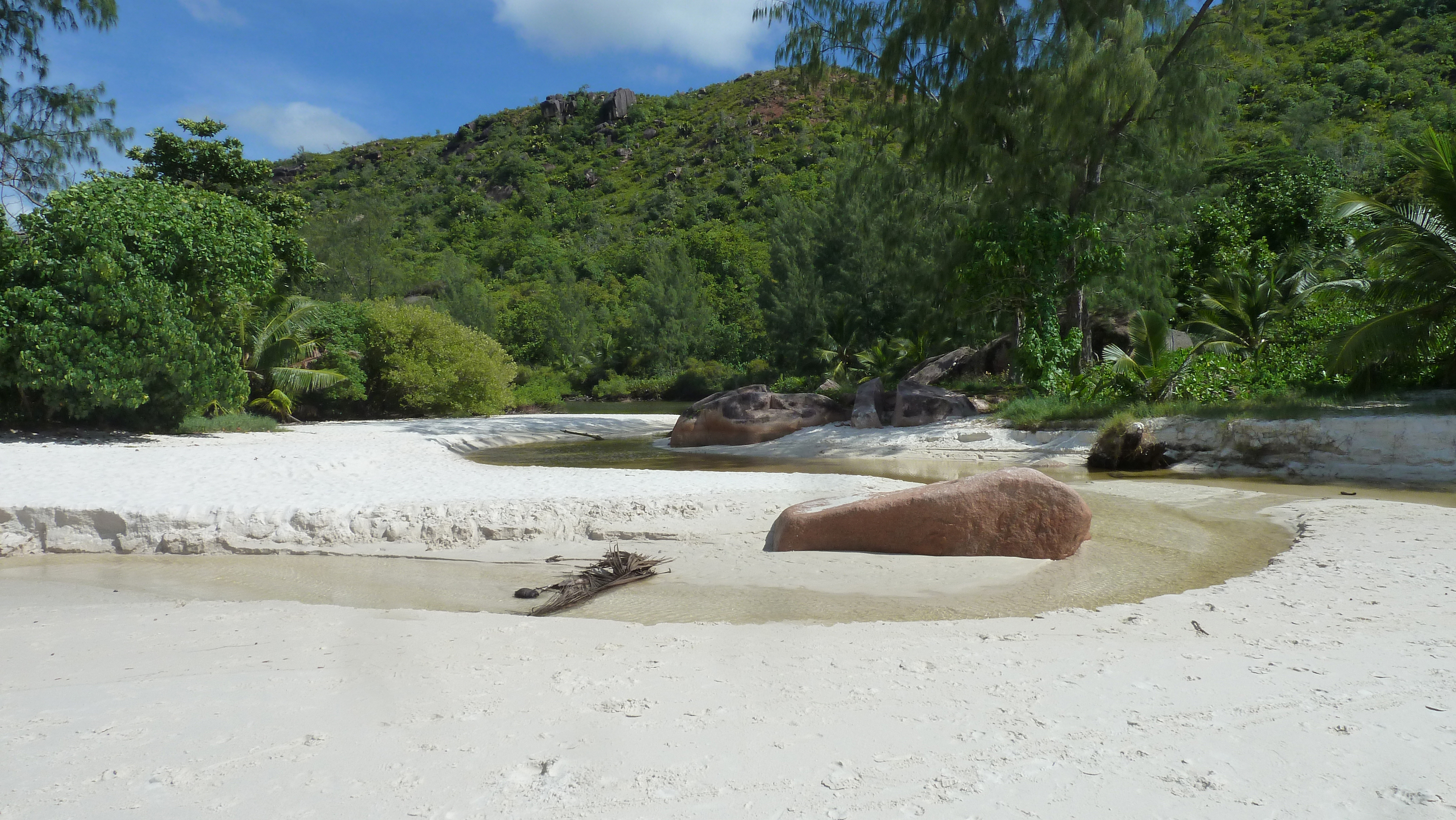 Picture Seychelles Anse Lazio 2011-10 64 - Center Anse Lazio