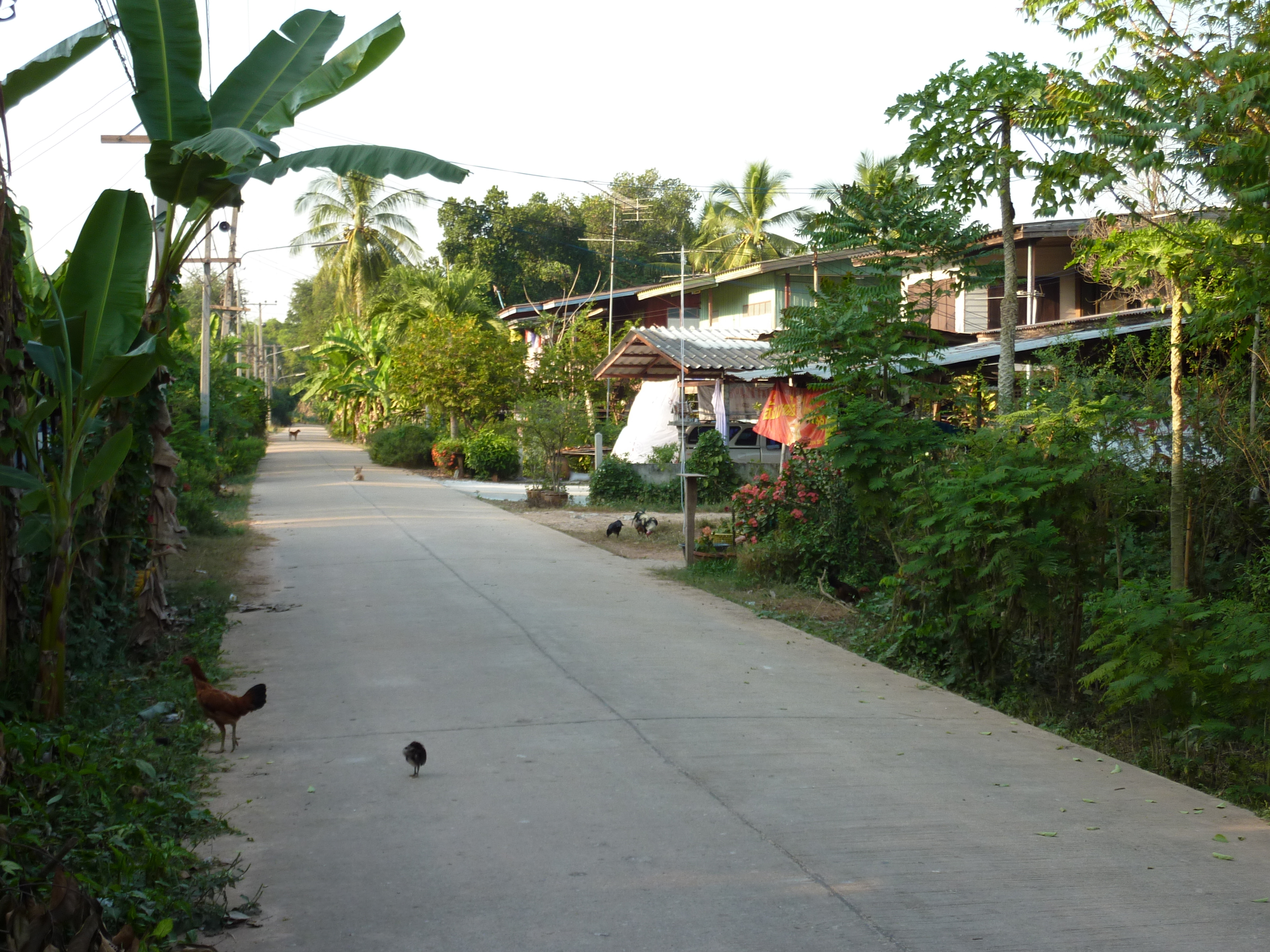 Picture Thailand Phitsanulok Chom Thong 2009-12 55 - History Chom Thong