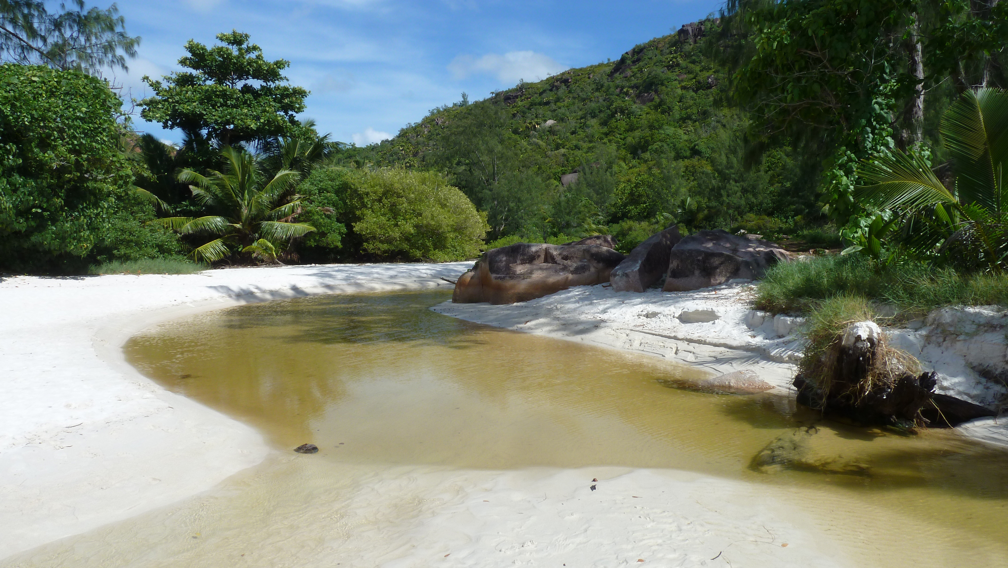 Picture Seychelles Anse Lazio 2011-10 75 - Center Anse Lazio