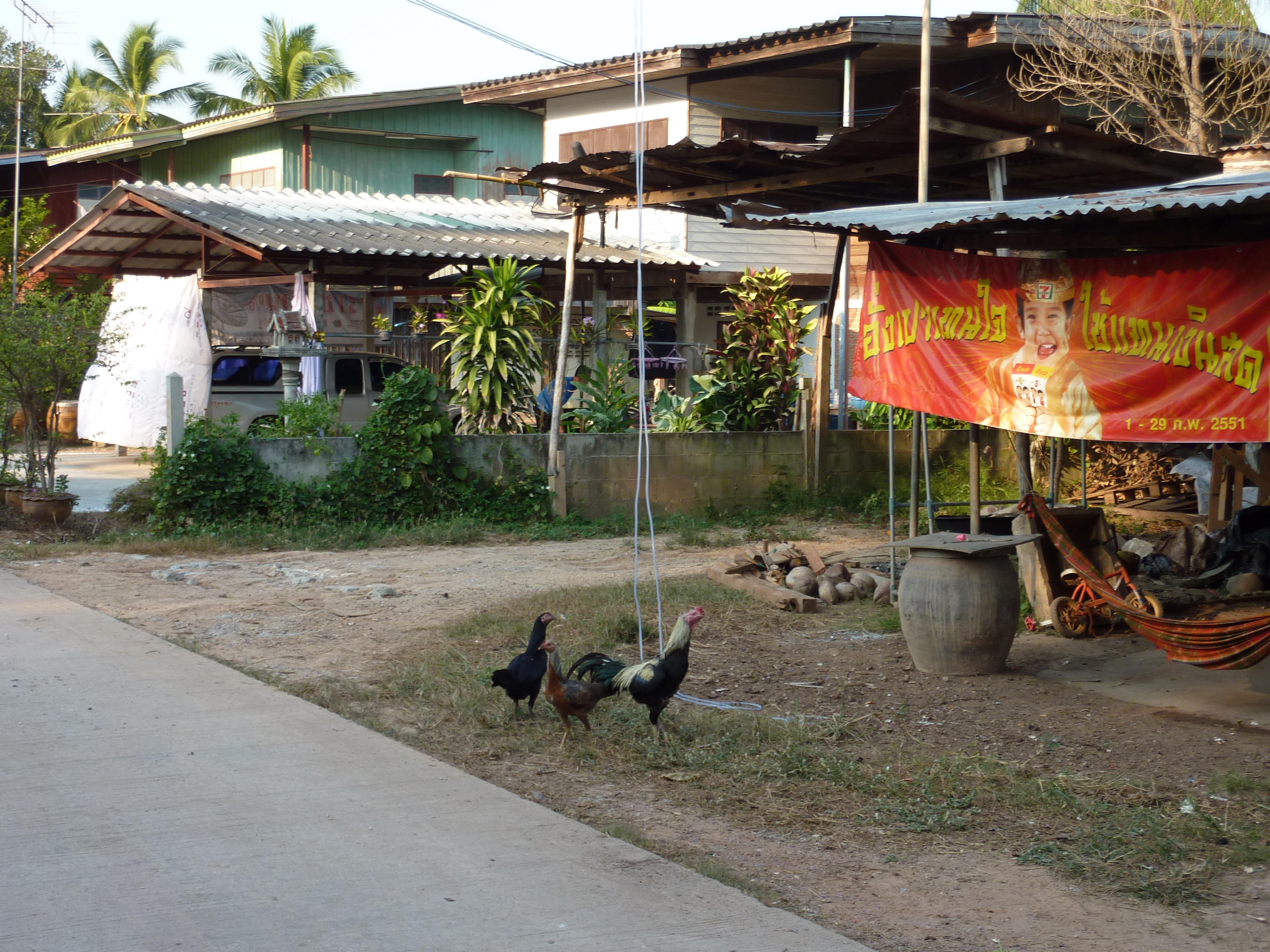 Picture Thailand Phitsanulok Chom Thong 2009-12 60 - Tours Chom Thong