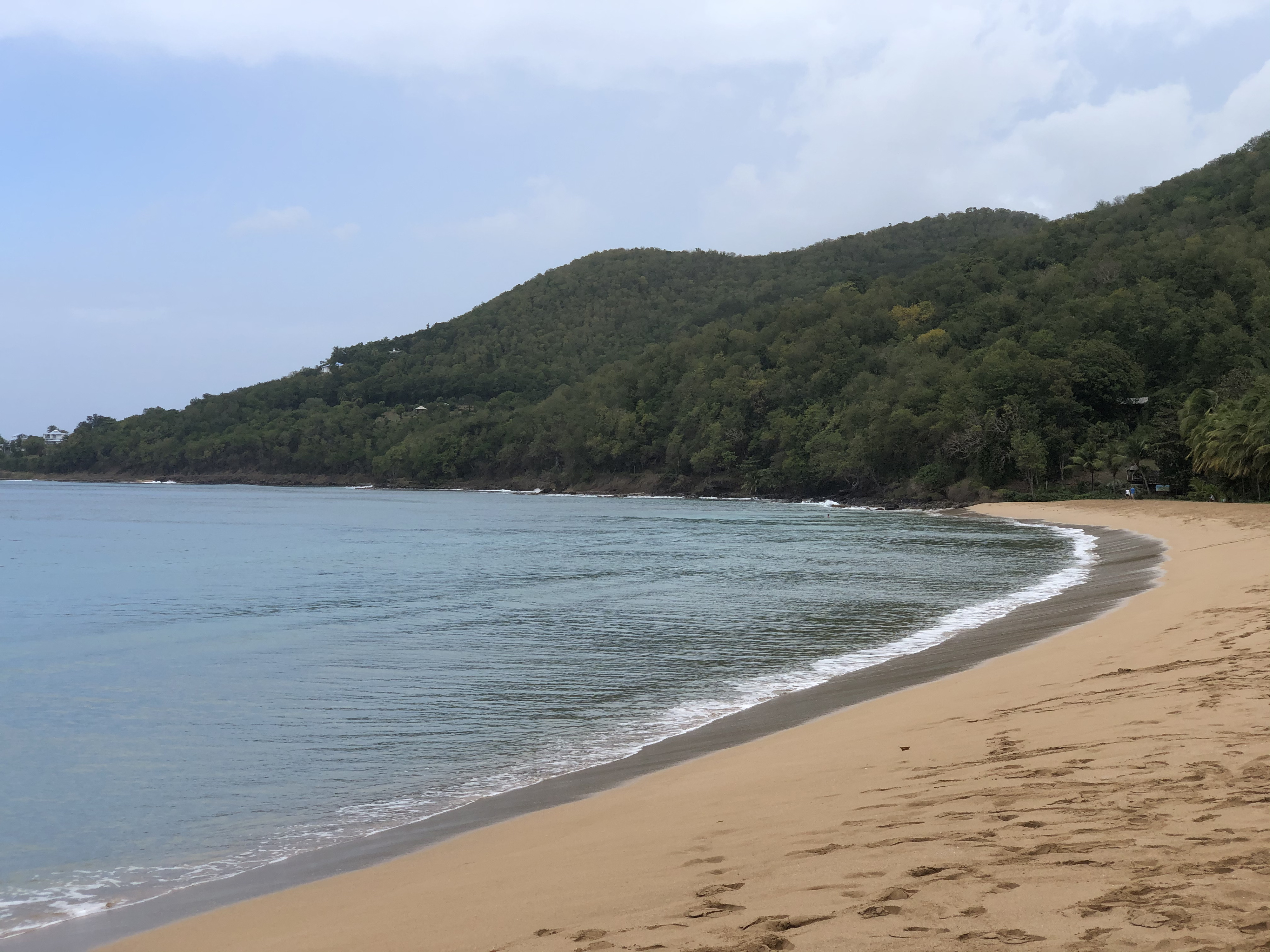 Picture Guadeloupe Grande Hanse Beach 2021-02 9 - History Grande Hanse Beach