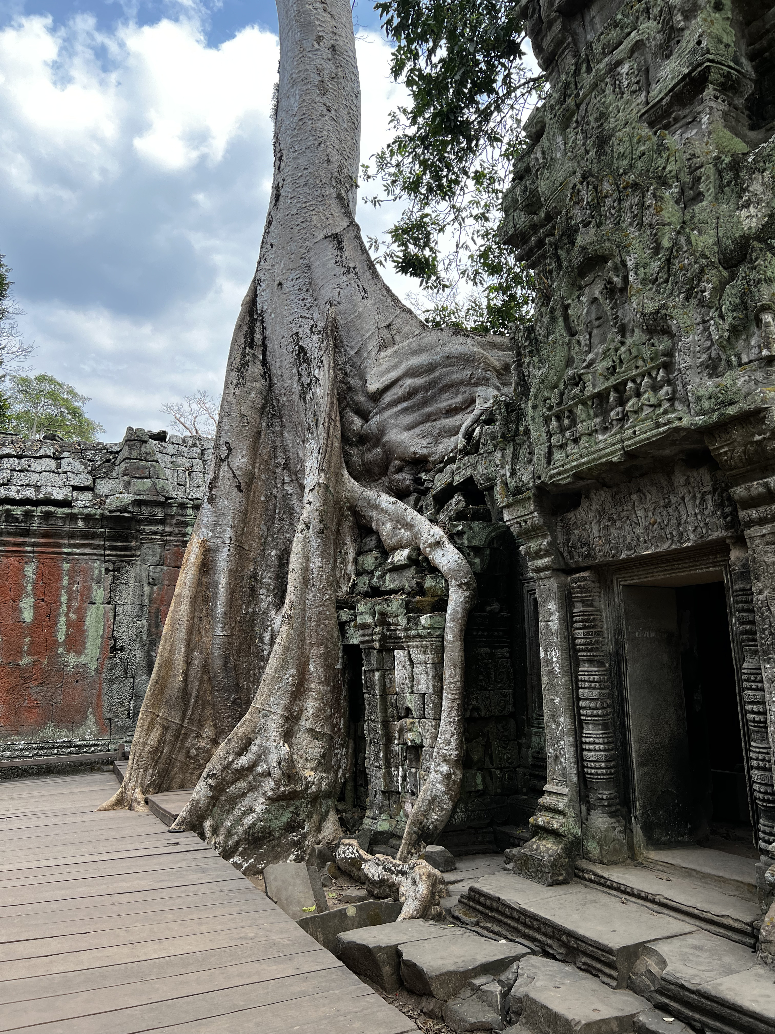 Picture Cambodia Siem Reap Ta Prohm 2023-01 144 - Recreation Ta Prohm