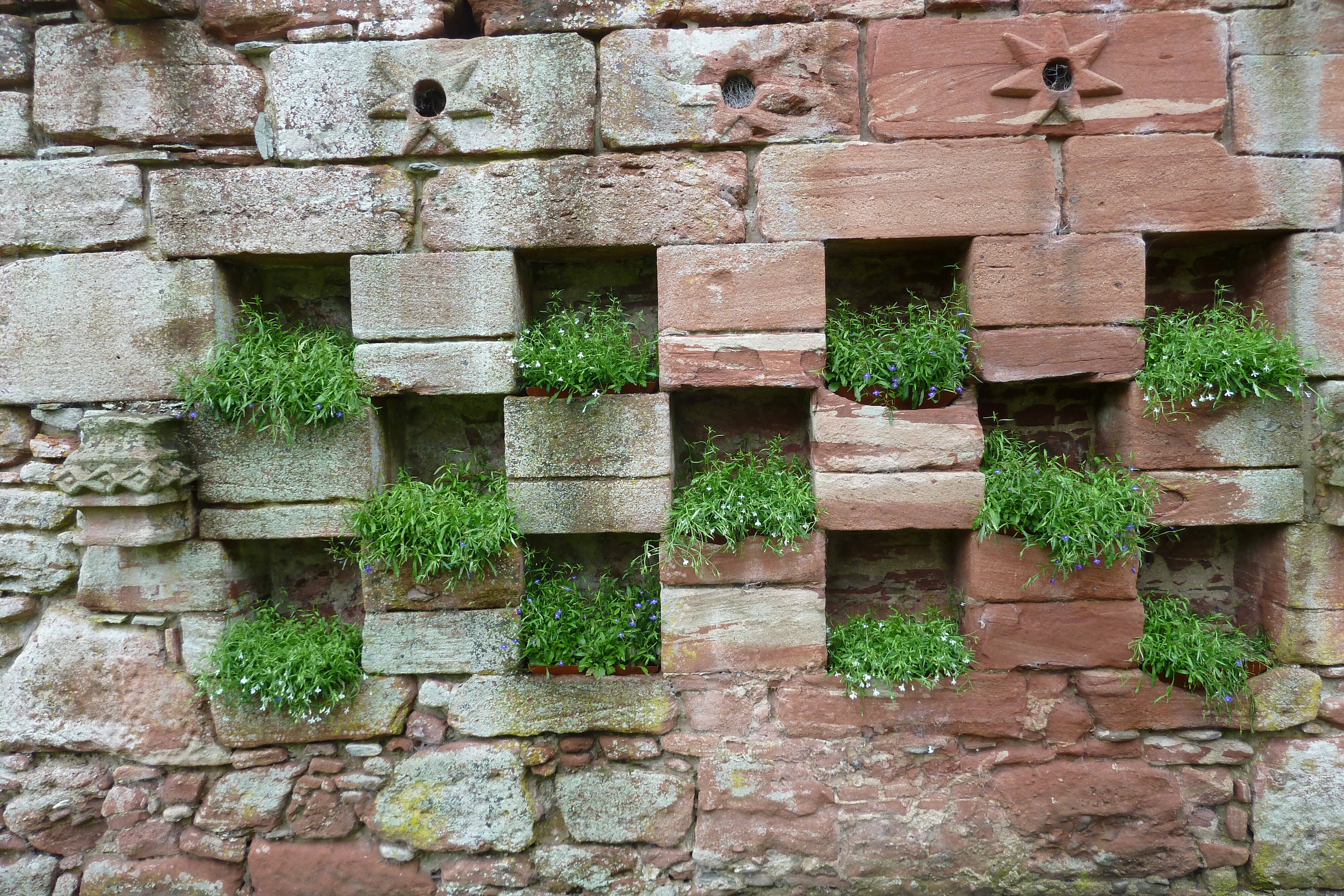 Picture United Kingdom Scotland Edzell Castle 2011-07 14 - Center Edzell Castle