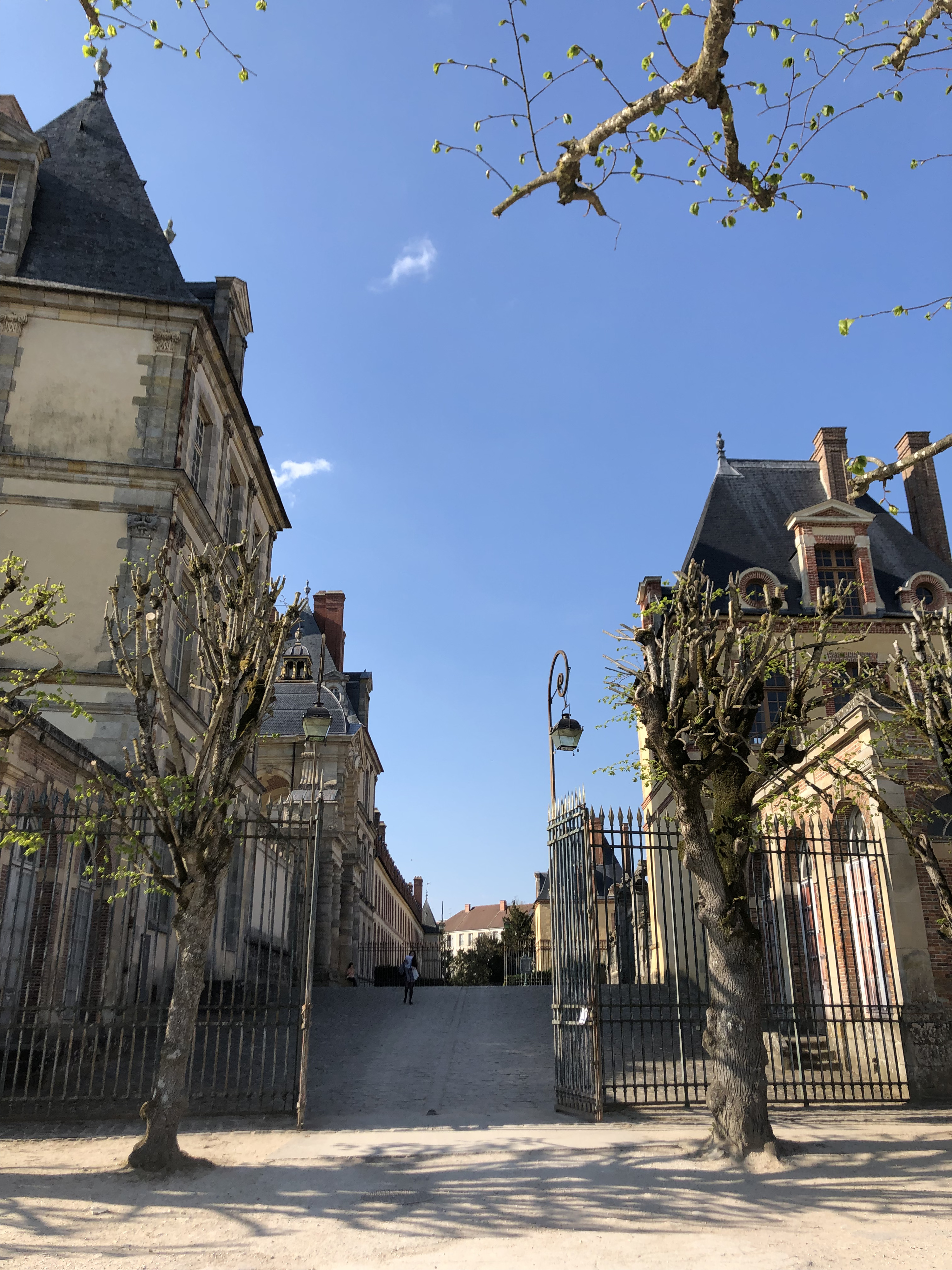 Picture France Fontainebleau 2019-04 224 - Journey Fontainebleau