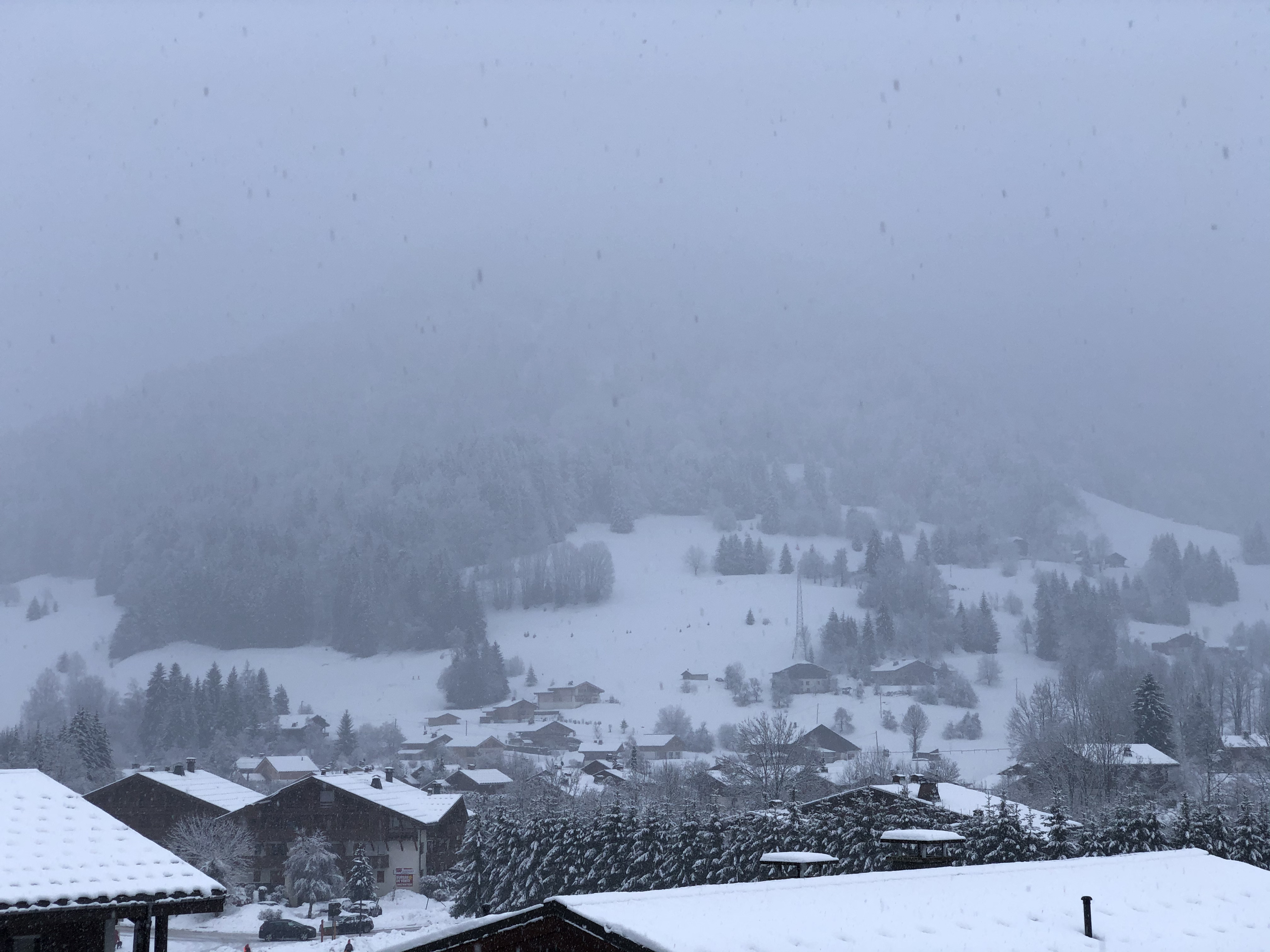 Picture France Praz sur Arly 2019-12 369 - Around Praz sur Arly