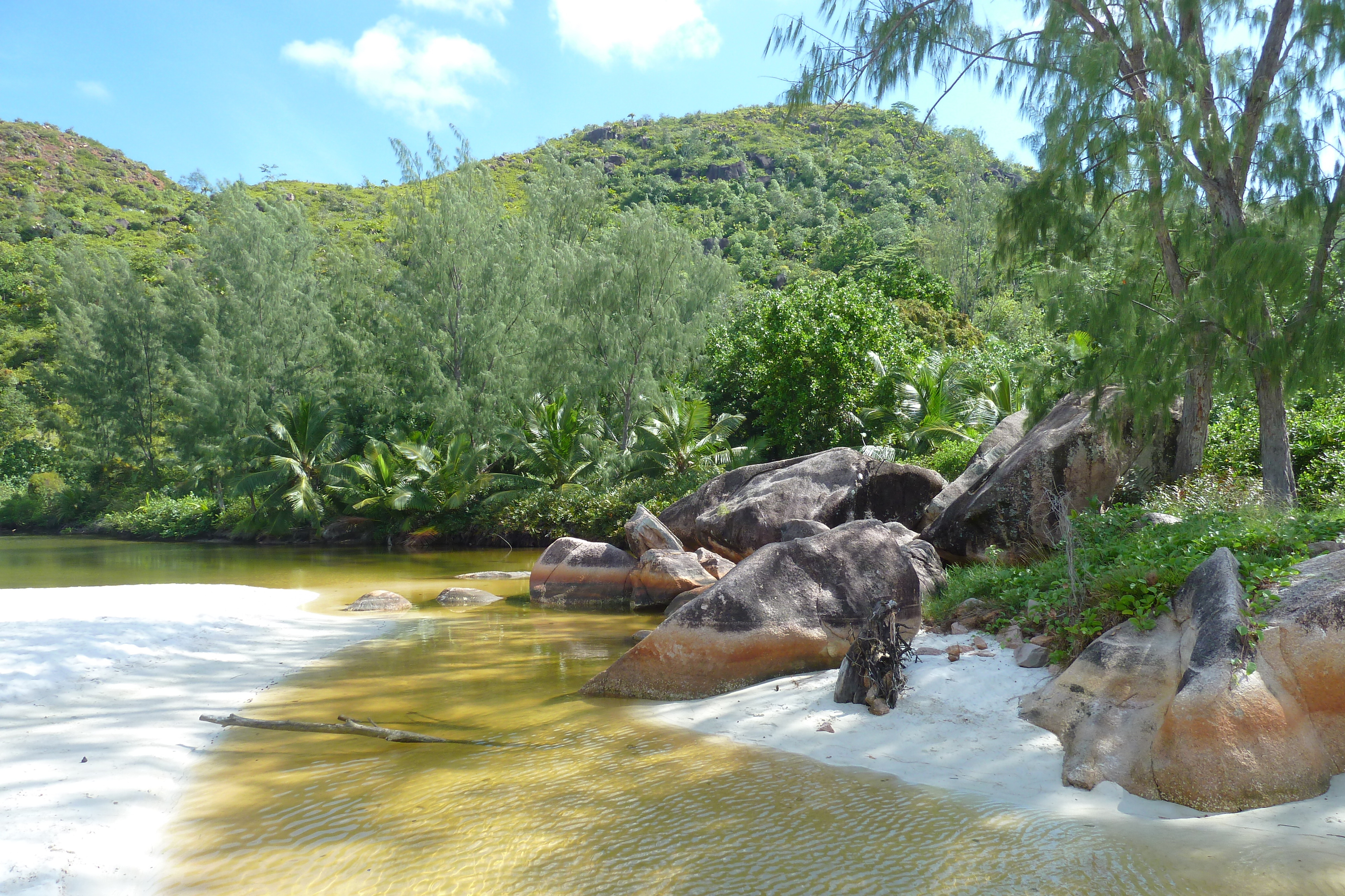 Picture Seychelles Anse Lazio 2011-10 63 - Tours Anse Lazio