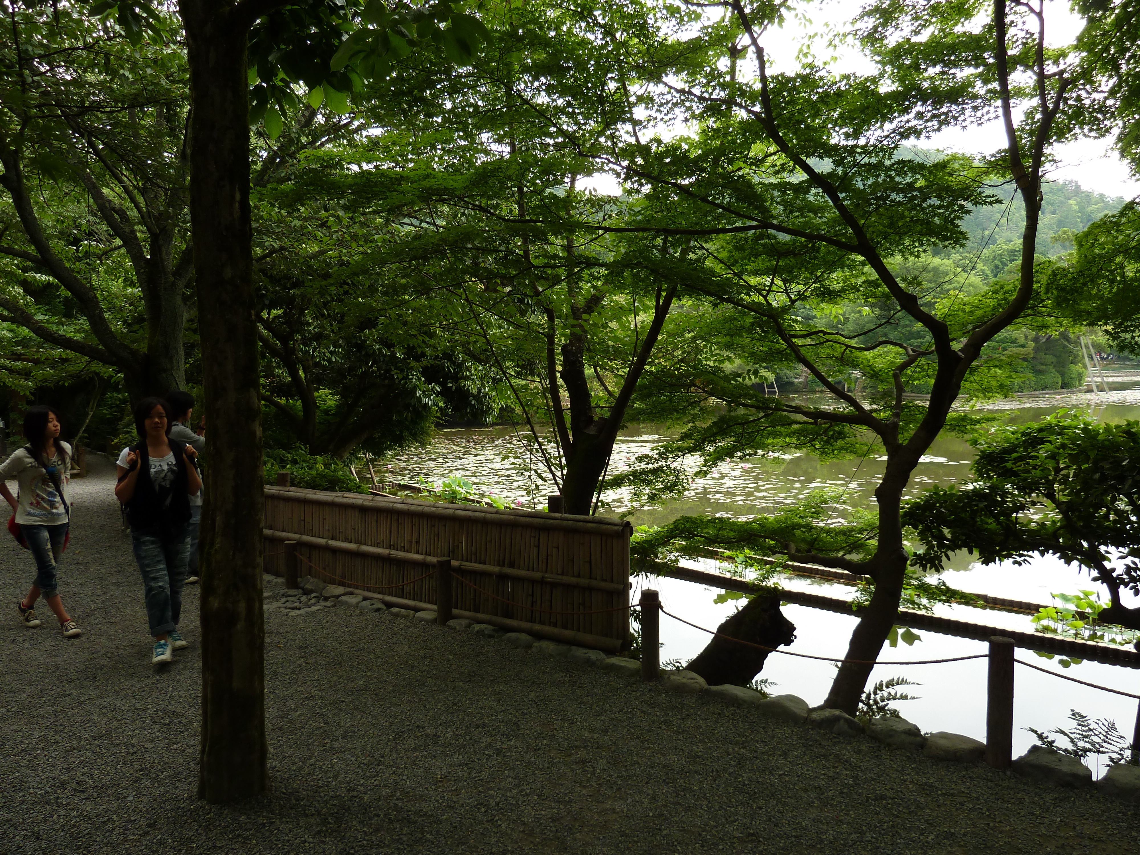 Picture Japan Kyoto Ryoanji Temple 2010-06 58 - Tour Ryoanji Temple