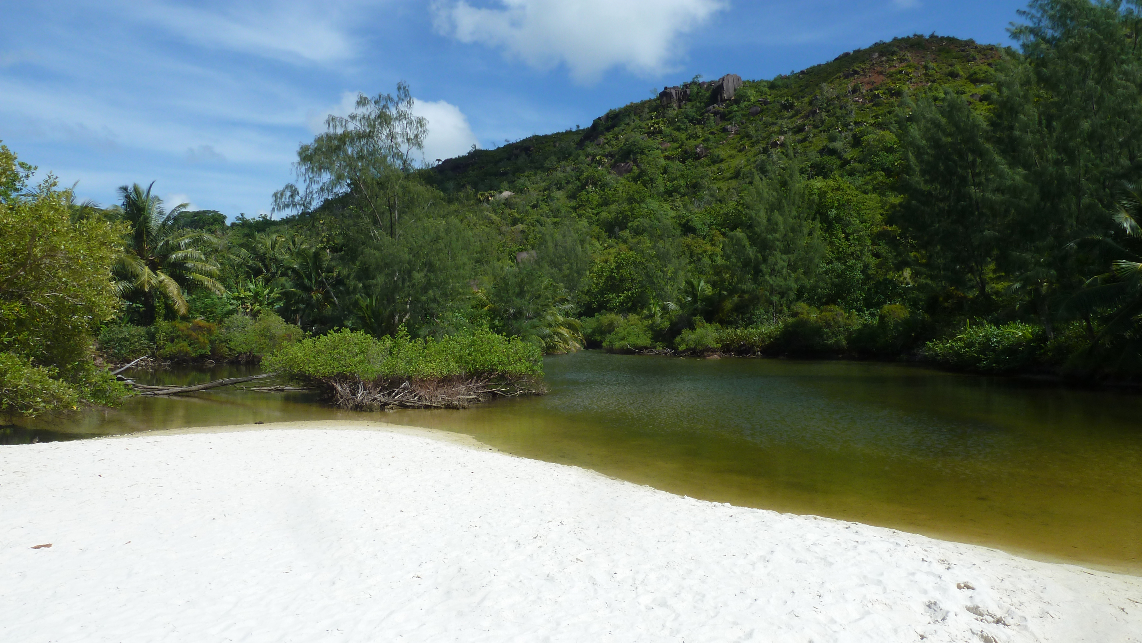 Picture Seychelles Anse Lazio 2011-10 74 - Journey Anse Lazio