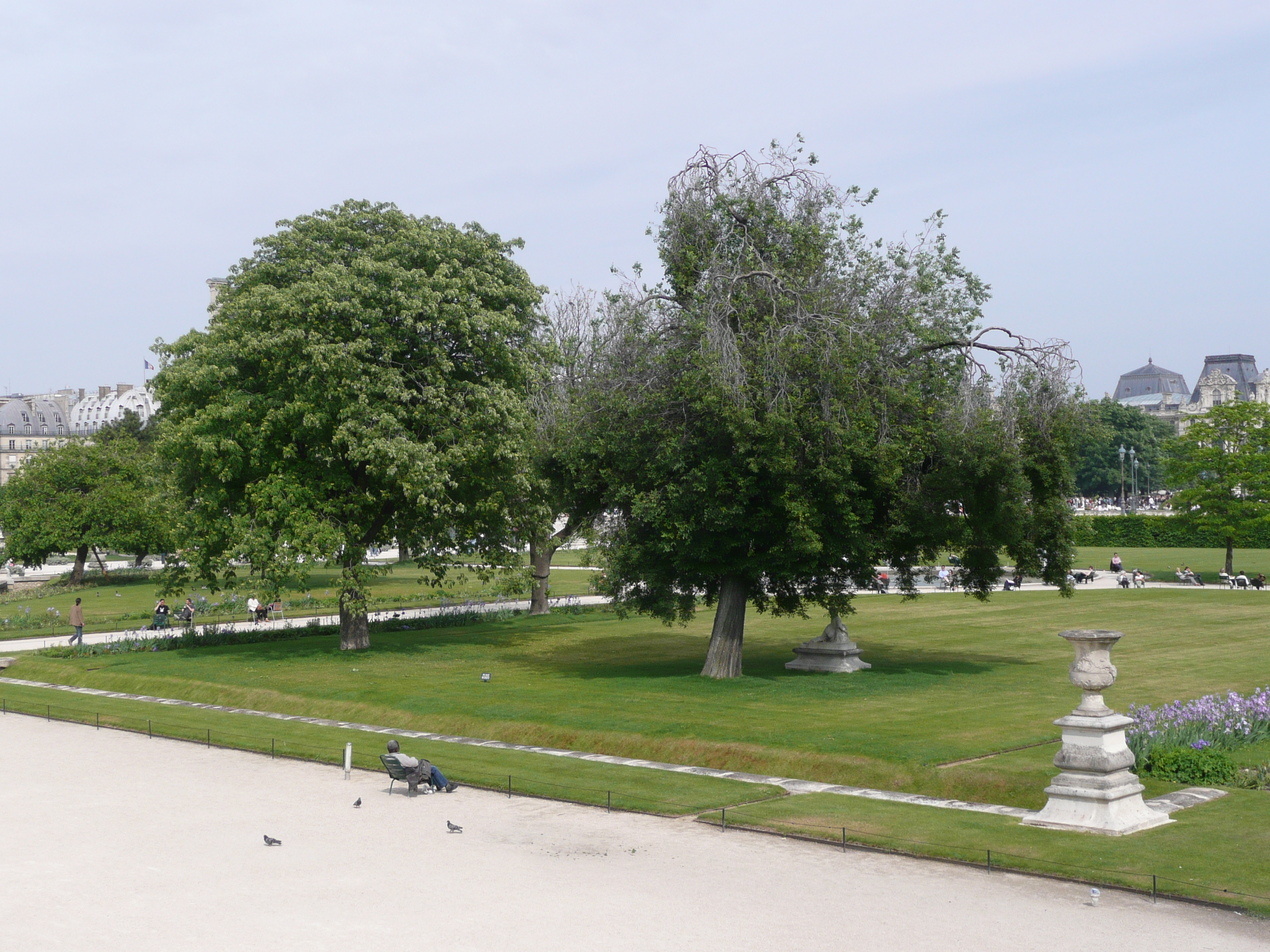 Picture France Paris Garden of Tuileries 2007-05 270 - Around Garden of Tuileries