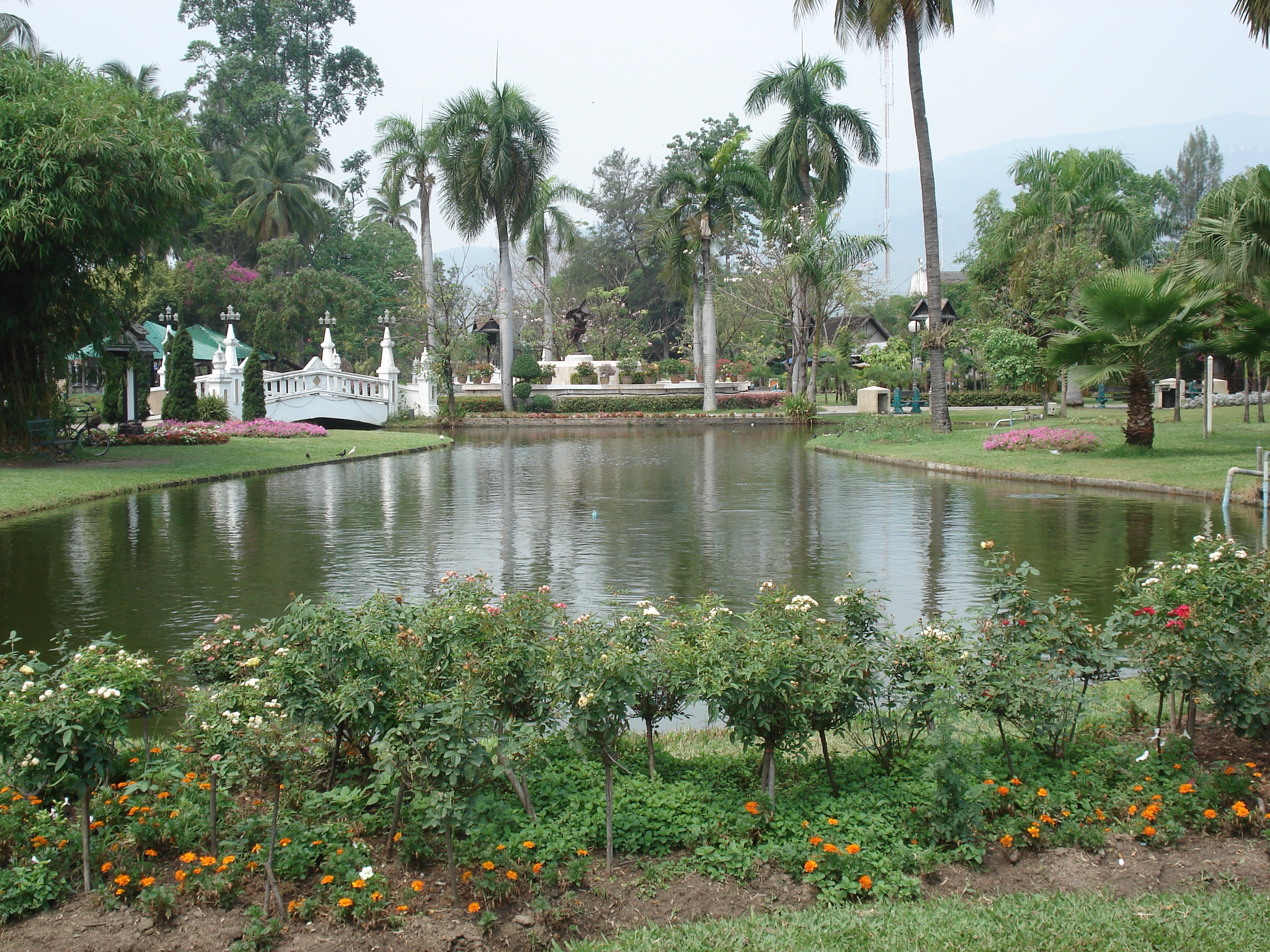 Picture Thailand Chiang Mai Inside Canal Buak Had Park 2006-04 25 - Around Buak Had Park