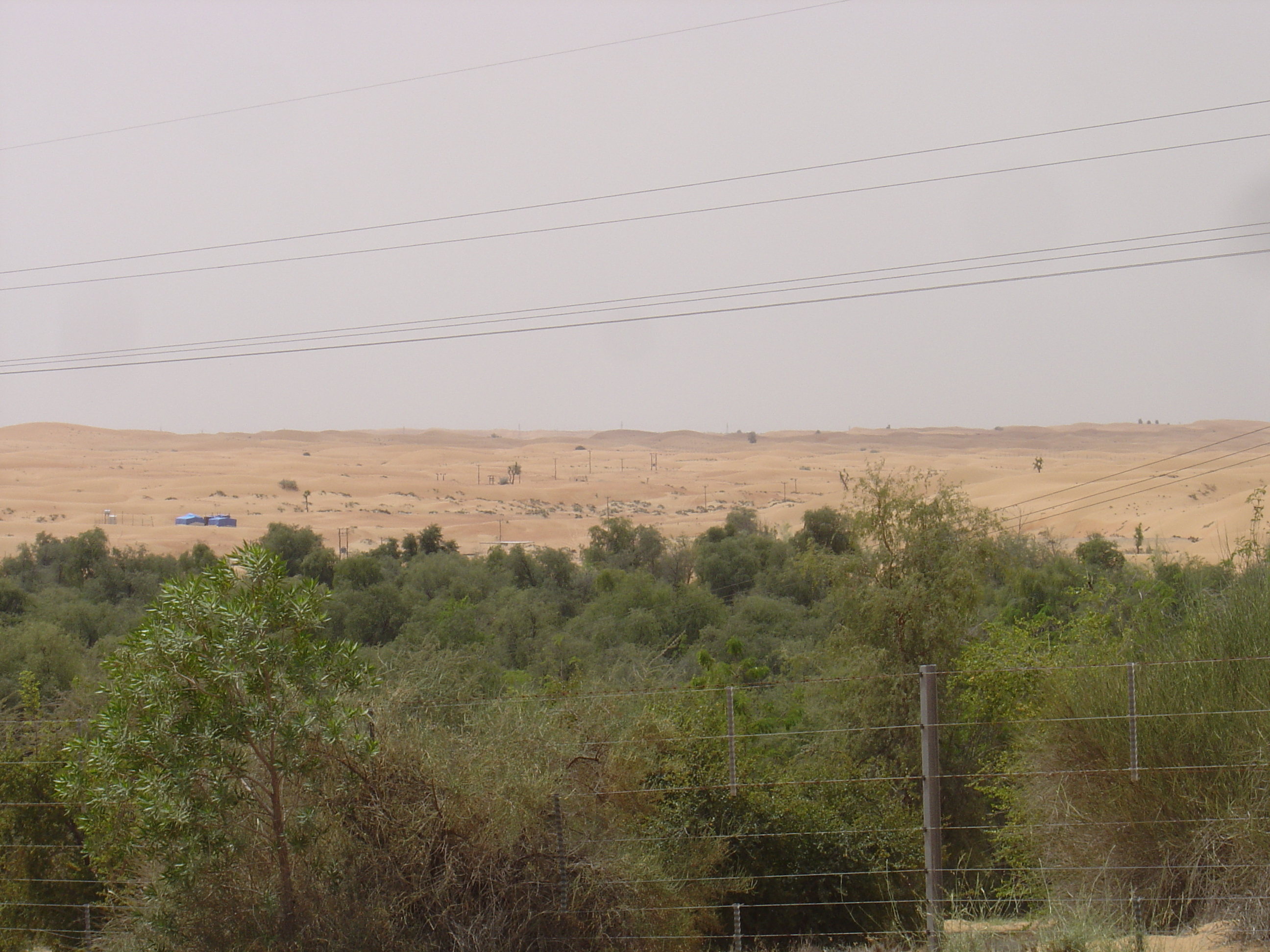 Picture United Arab Emirates Dubai to Al Ain road 2005-03 16 - History Dubai to Al Ain road