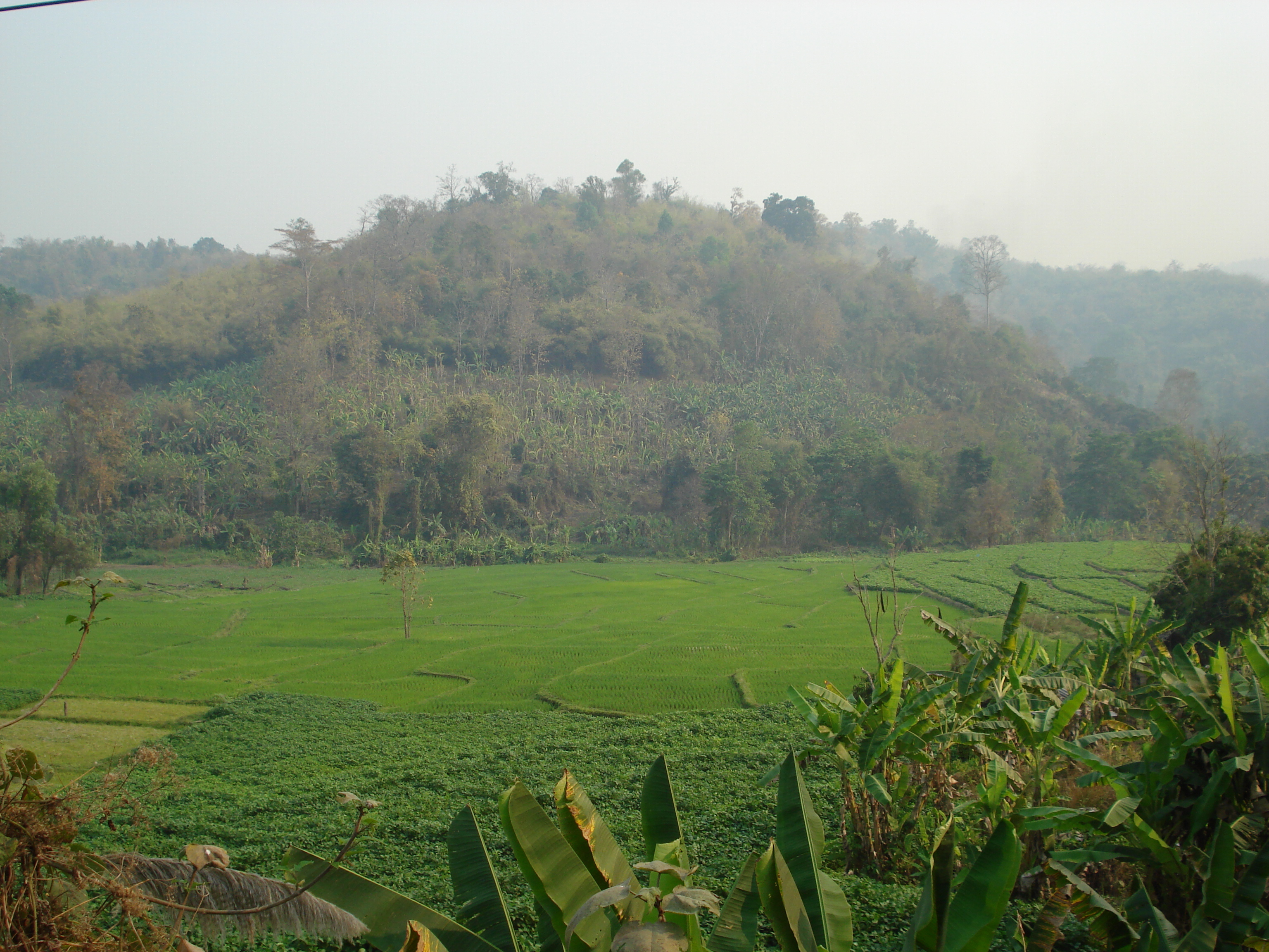 Picture Thailand Chiang Mai to Pai road 2007-02 5 - Tours Chiang Mai to Pai road