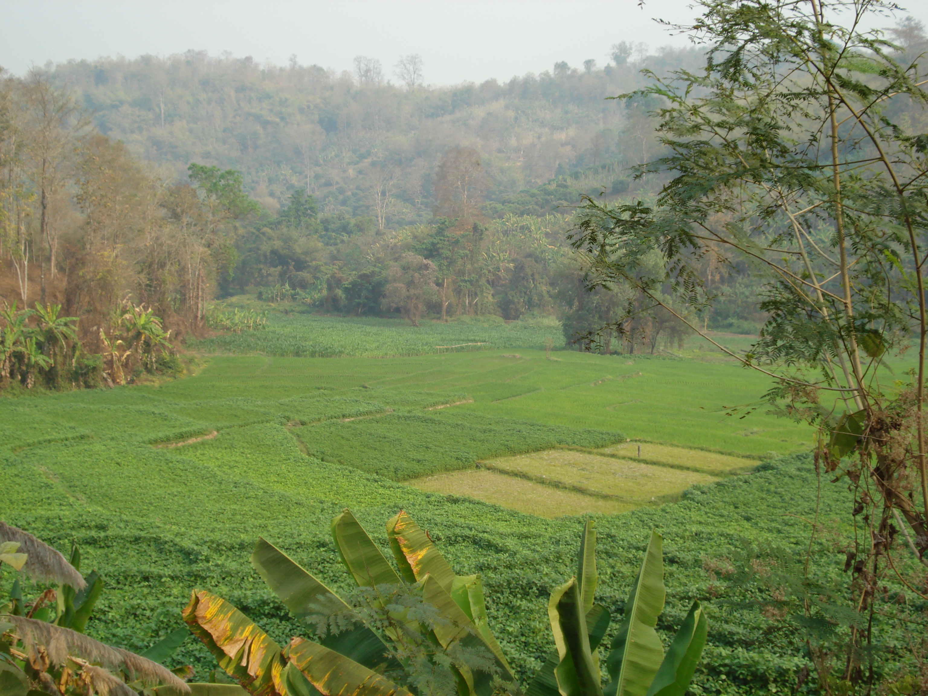 Picture Thailand Chiang Mai to Pai road 2007-02 0 - Around Chiang Mai to Pai road