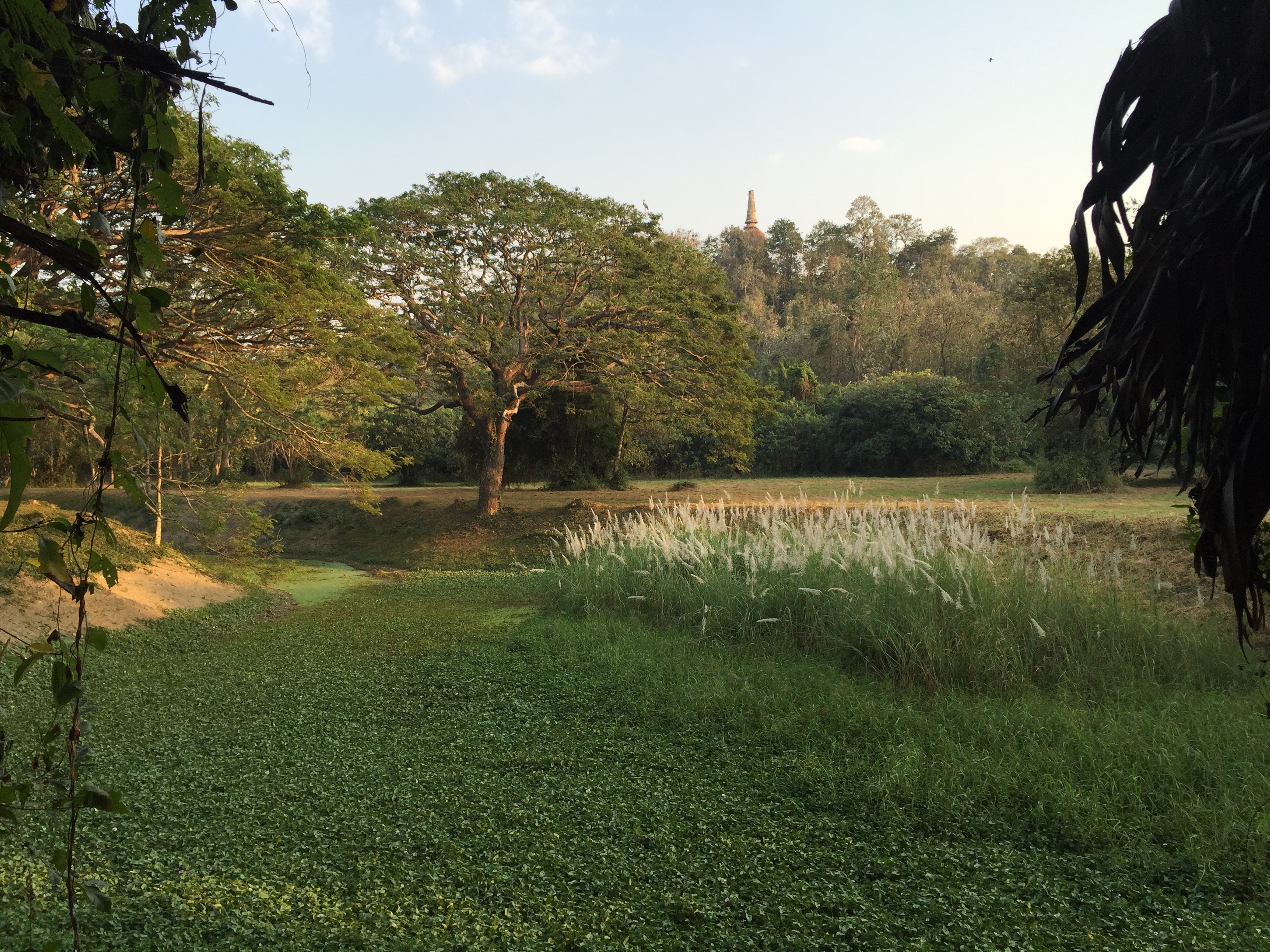 Picture Thailand Si satchanalai historical park 2014-12 134 - Center Si satchanalai historical park