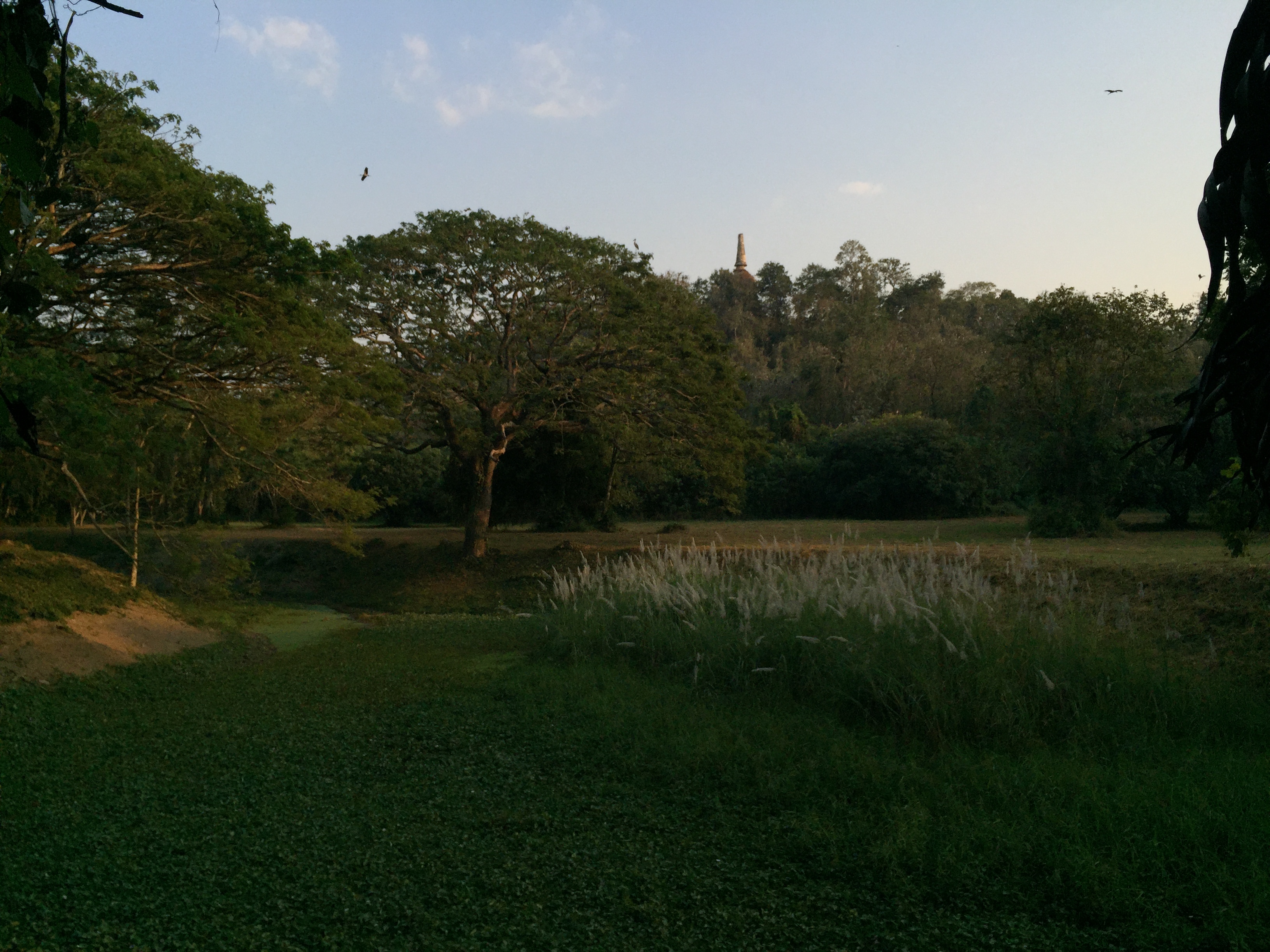 Picture Thailand Si satchanalai historical park 2014-12 55 - Recreation Si satchanalai historical park