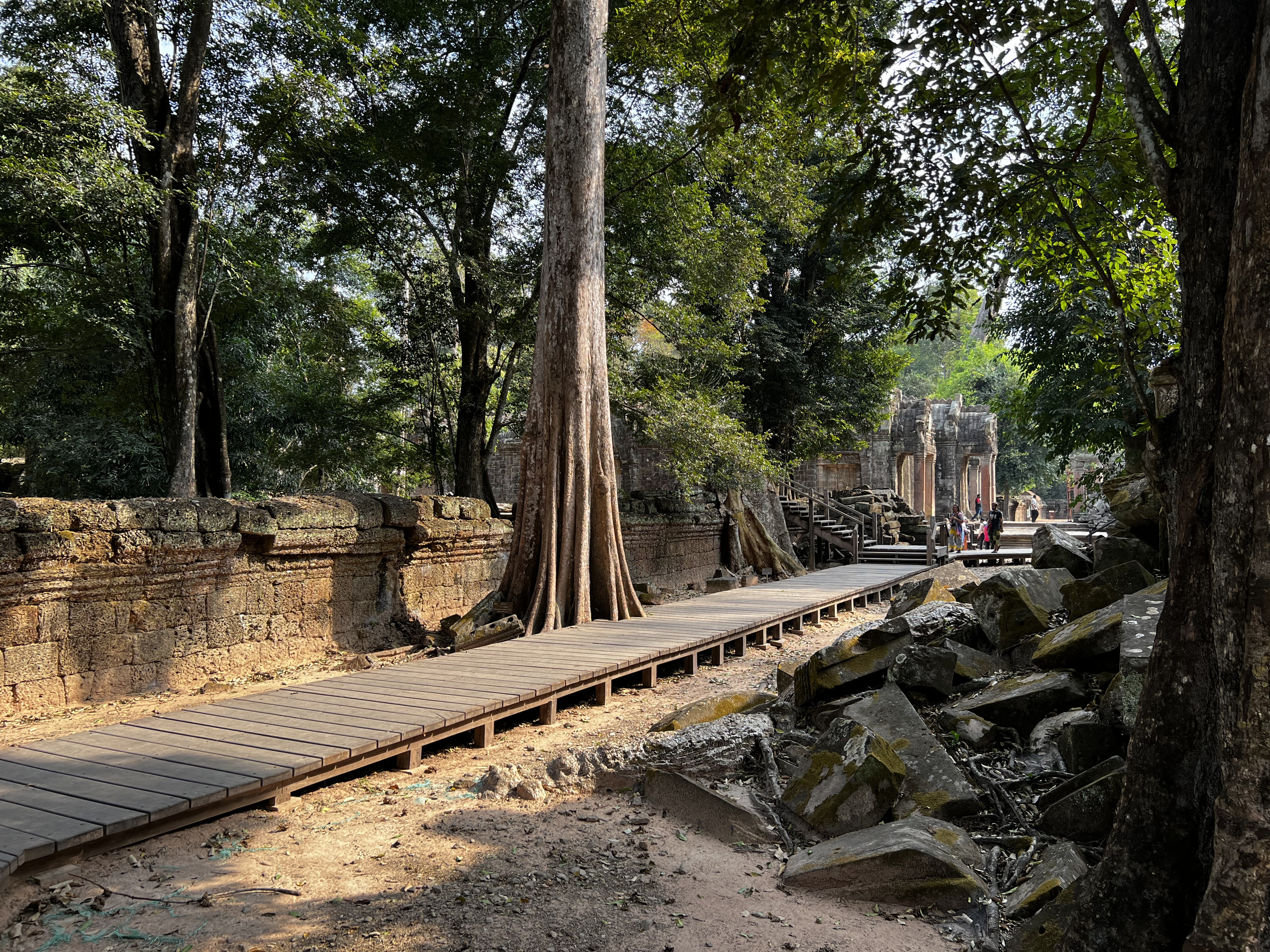 Picture Cambodia Siem Reap Ta Prohm 2023-01 148 - History Ta Prohm