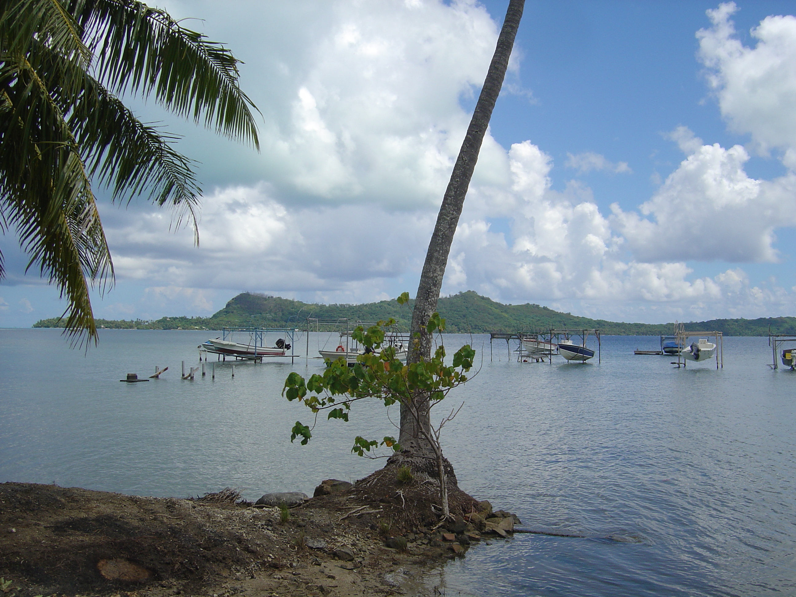 Picture Polynesia Bora Bora 2006-04 3 - Journey Bora Bora