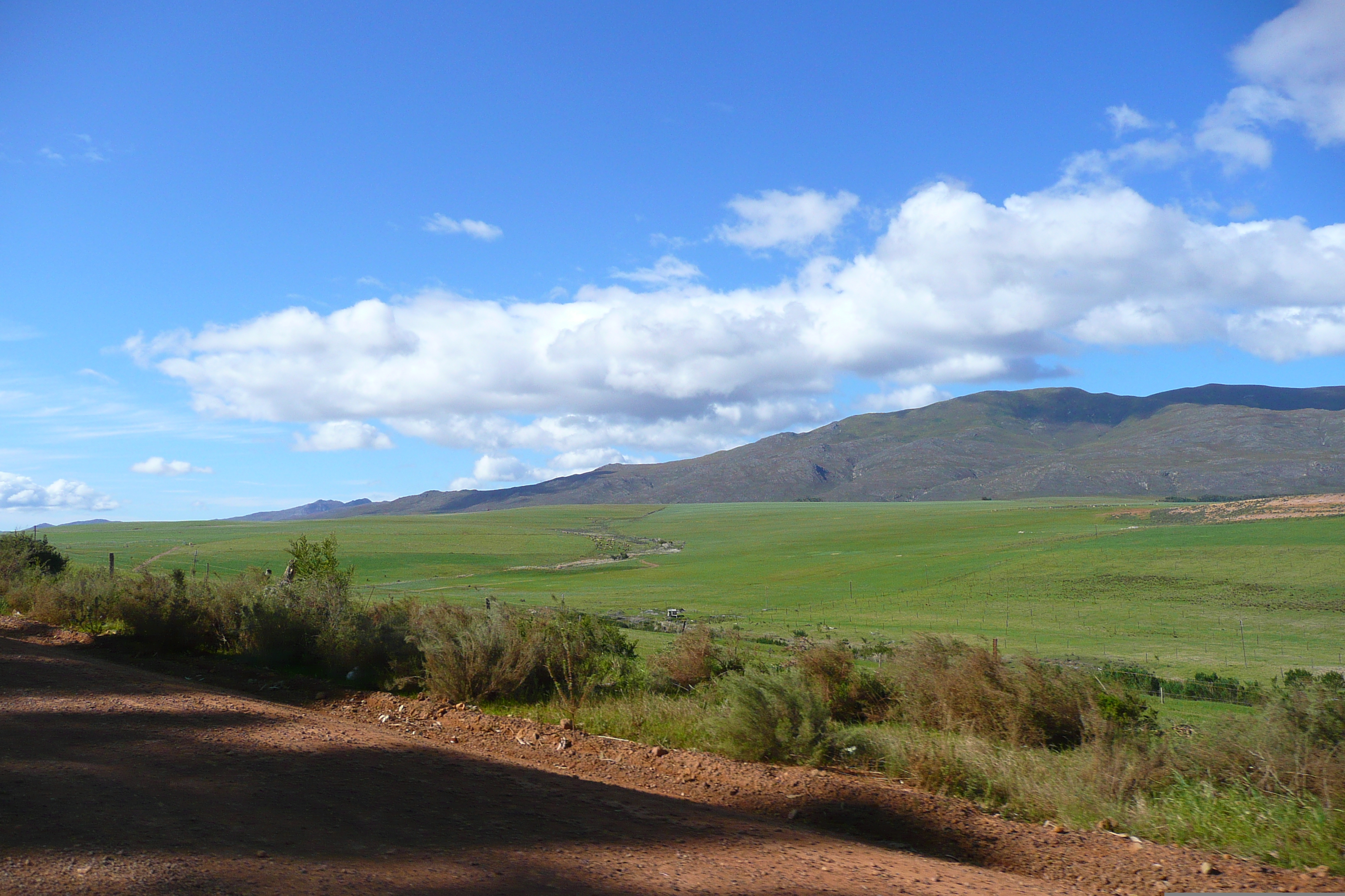 Picture South Africa Harmanus to Knysna road 2008-09 6 - Around Harmanus to Knysna road