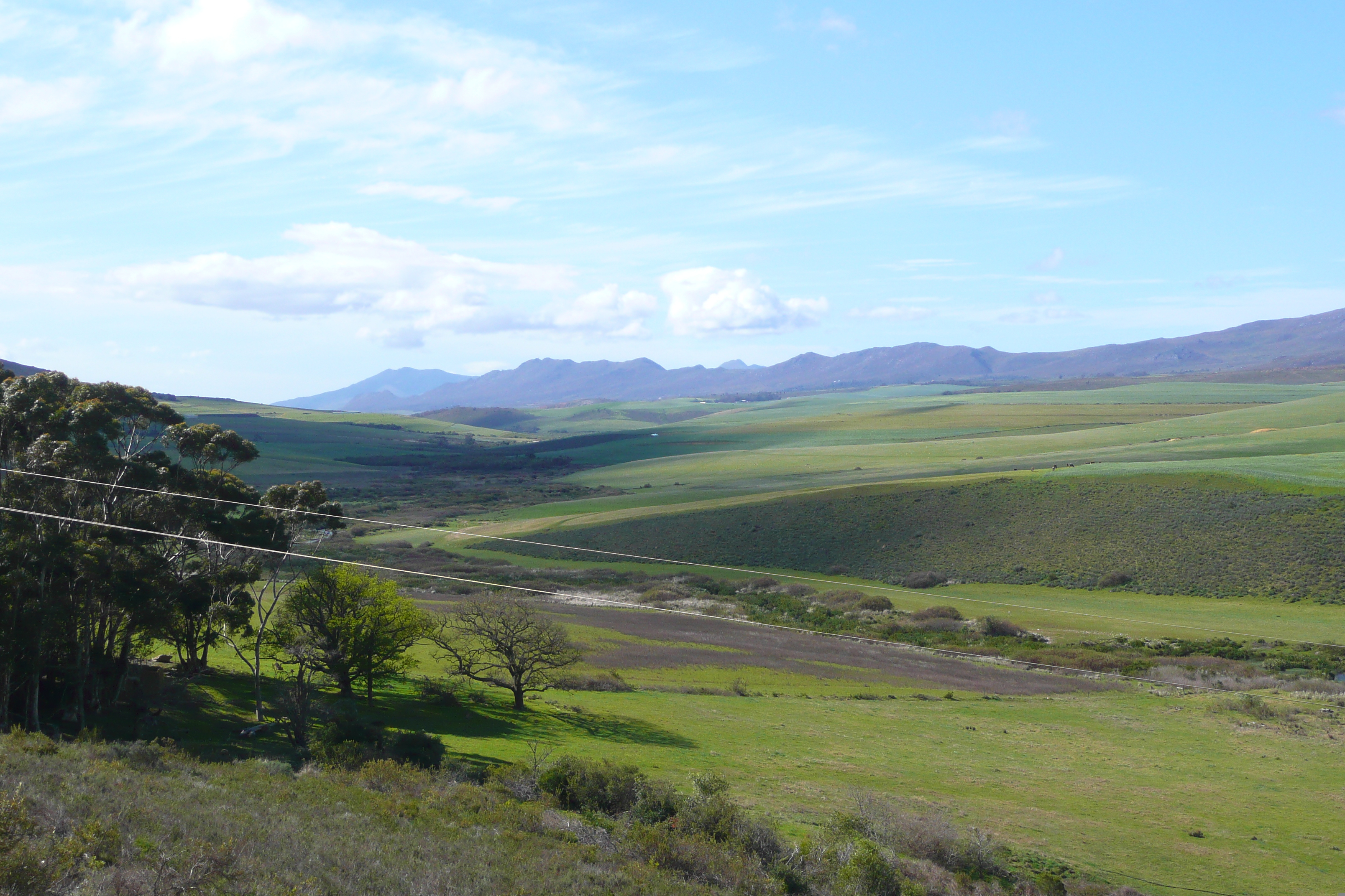 Picture South Africa Harmanus to Knysna road 2008-09 150 - Center Harmanus to Knysna road