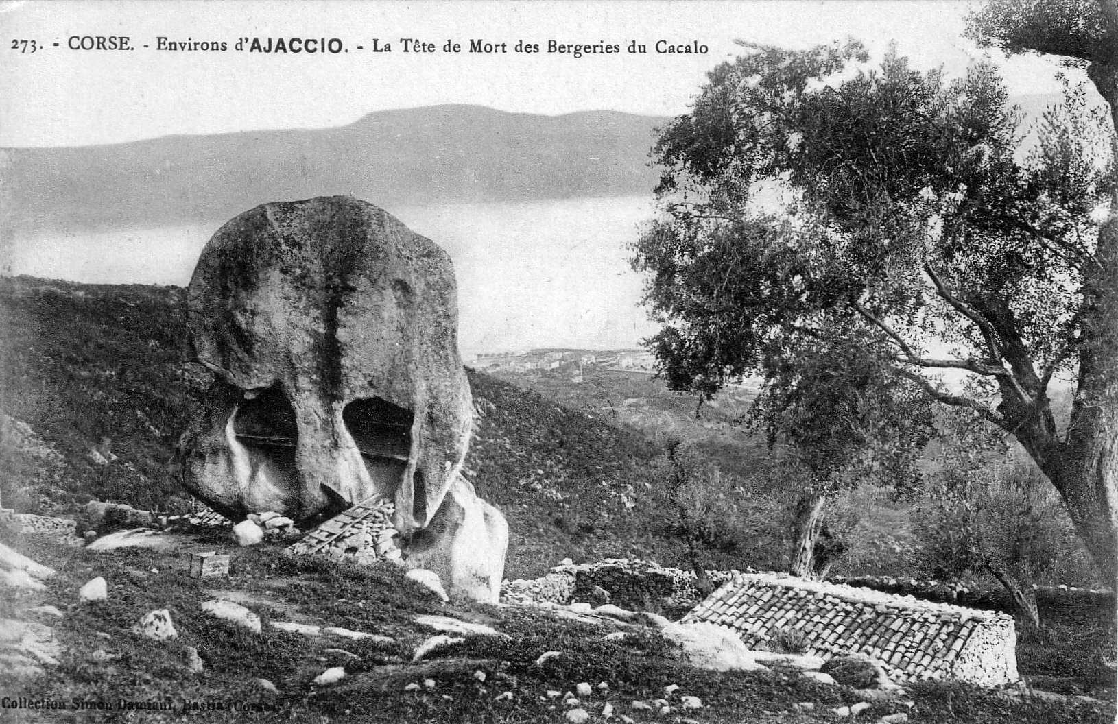 Picture France Corsica Old Postcards 1900-01 336 - Around Old Postcards