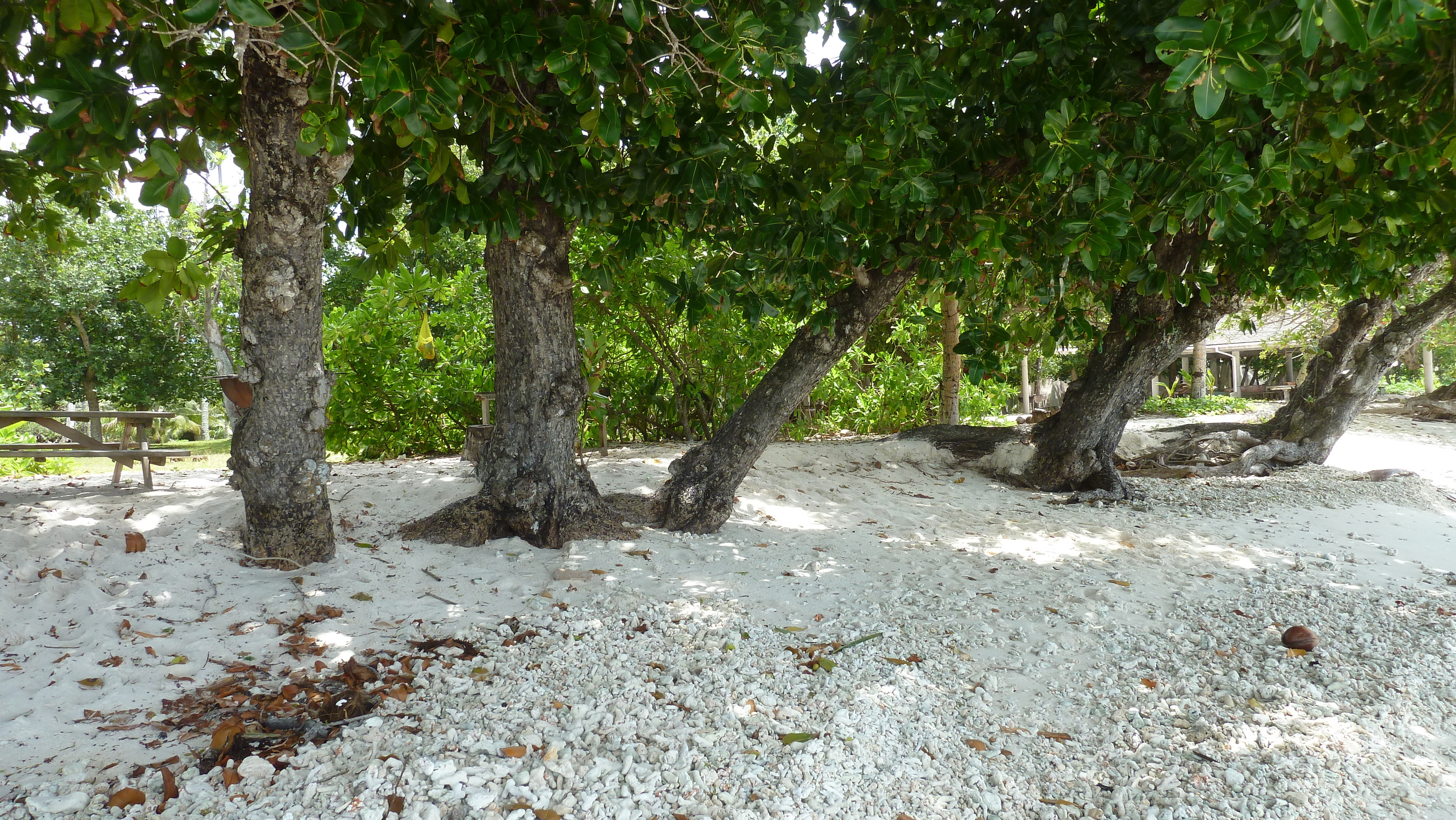 Picture Seychelles Grande Soeur 2011-10 53 - Recreation Grande Soeur