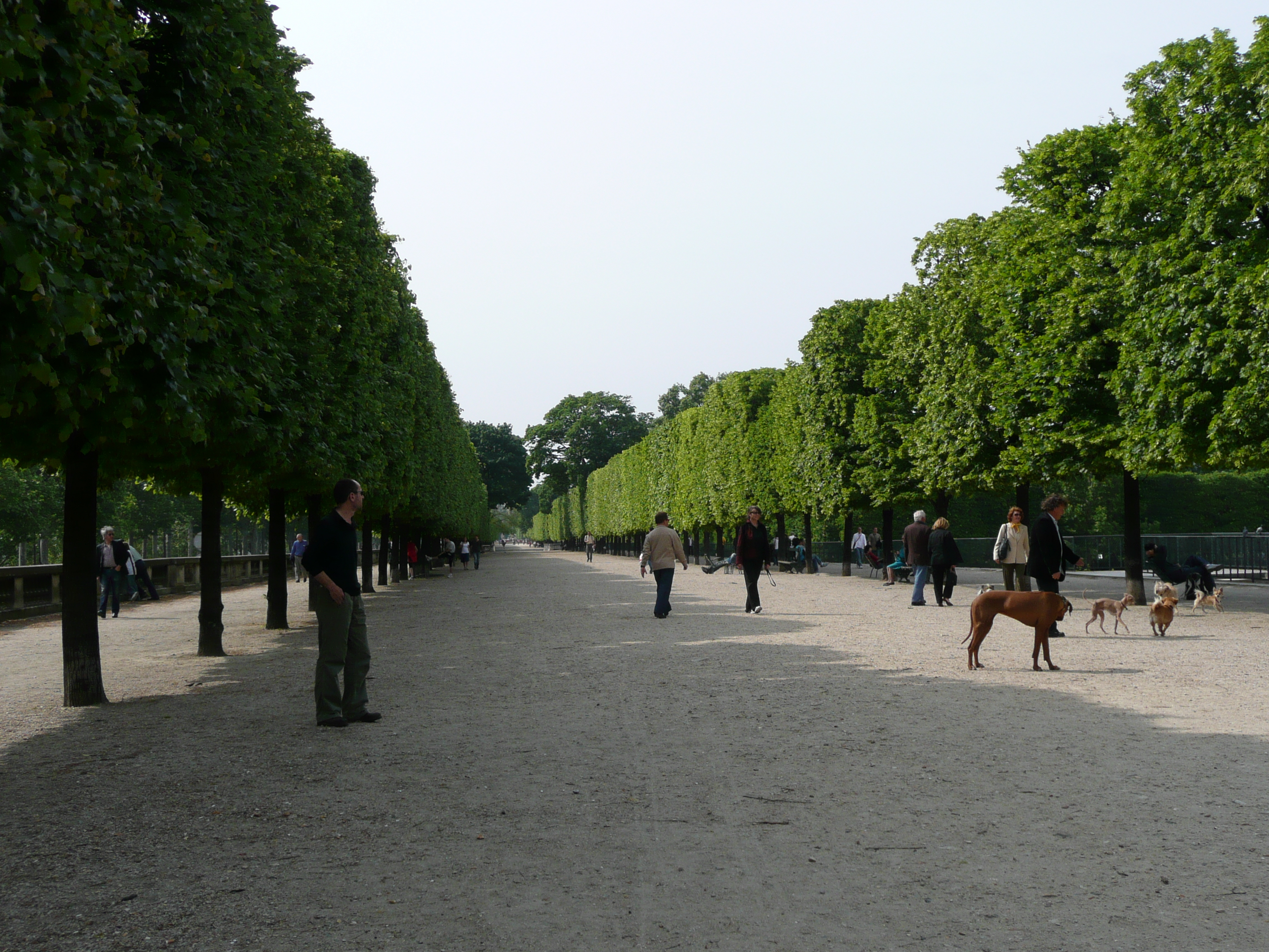 Picture France Paris Garden of Tuileries 2007-05 342 - Recreation Garden of Tuileries