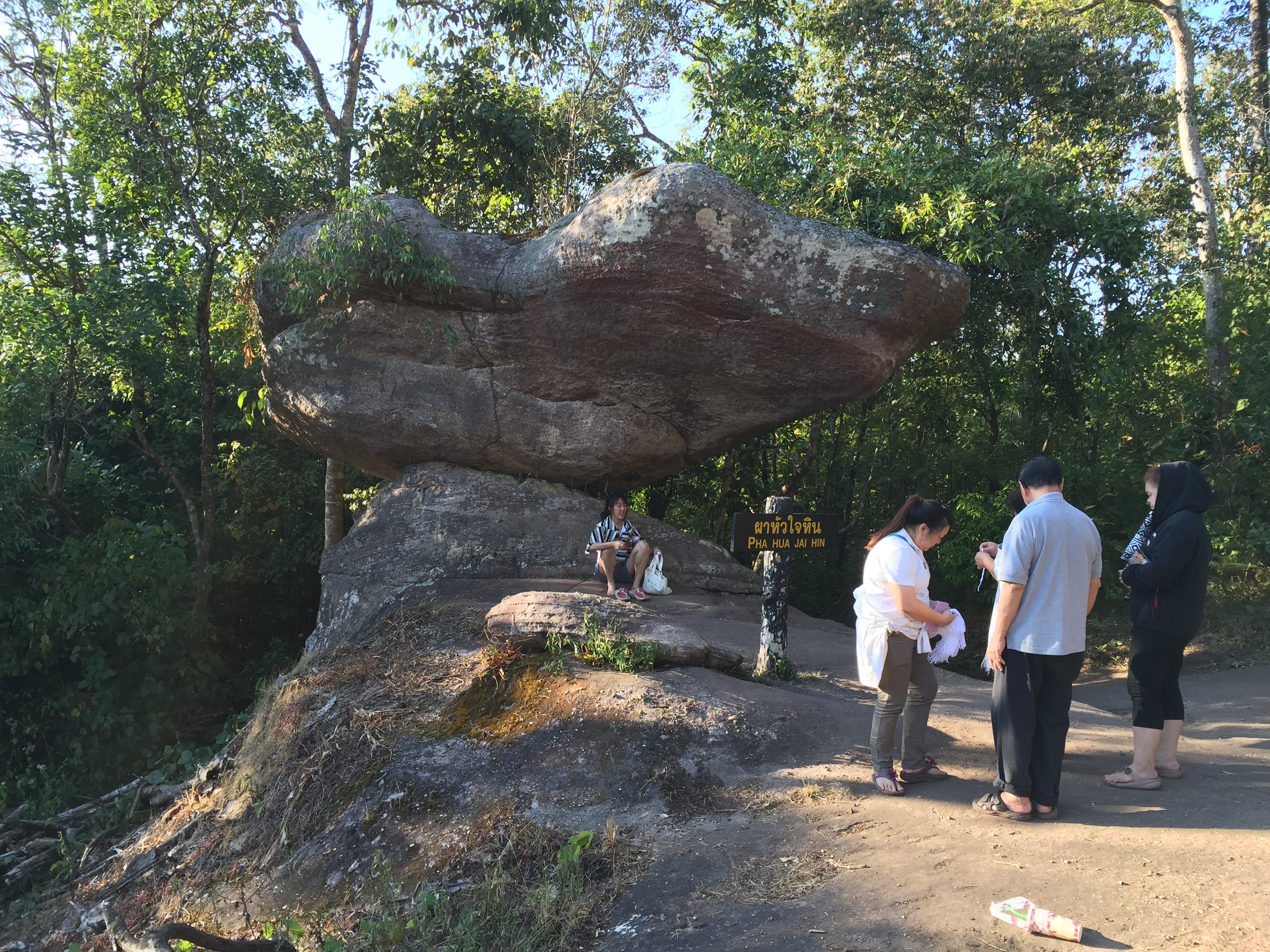 Picture Thailand Phu Hin Rong Kla National Park 2014-12 168 - Journey Phu Hin Rong Kla National Park