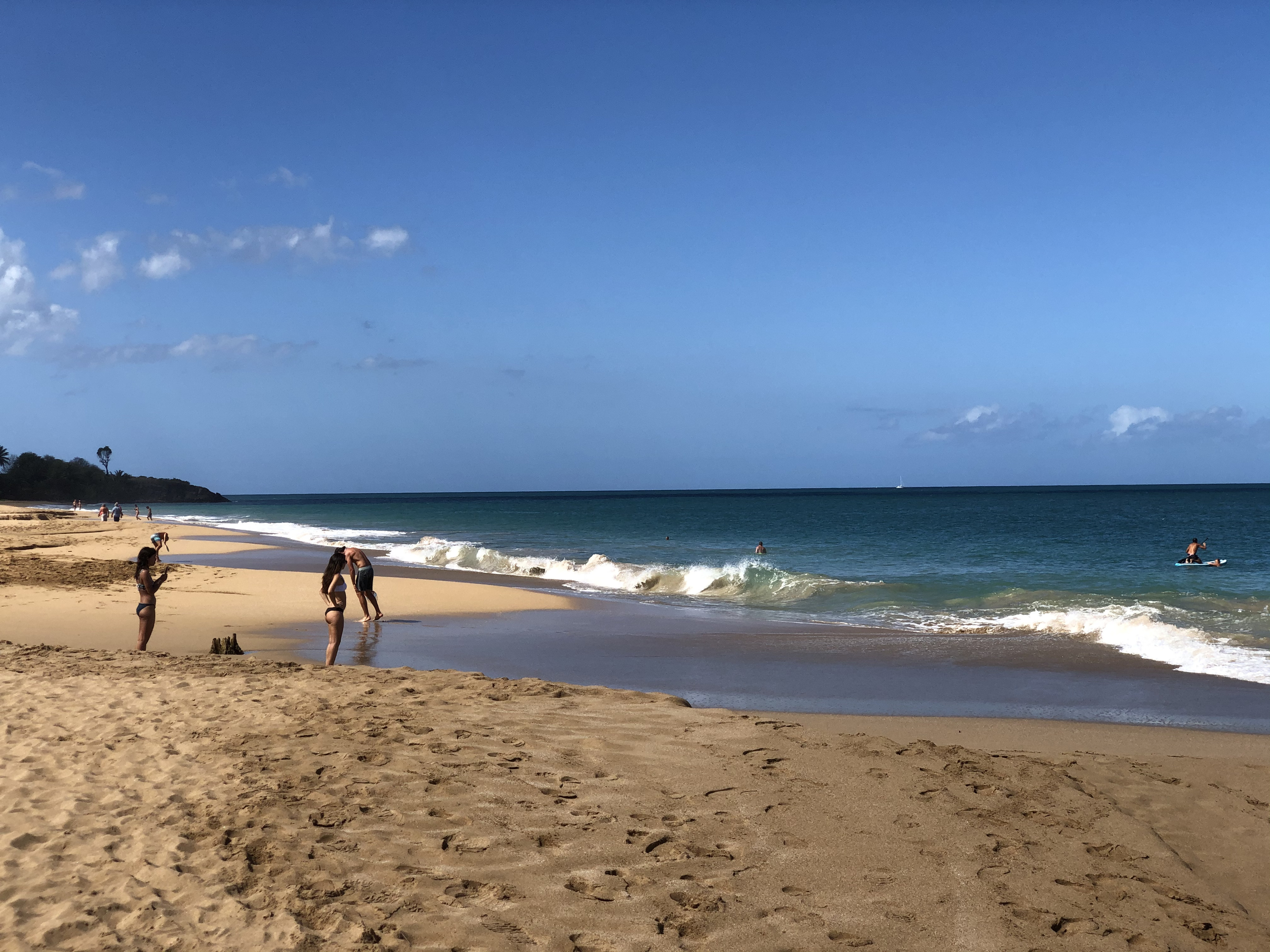 Picture Guadeloupe La Perle Beach 2021-02 7 - Around La Perle Beach