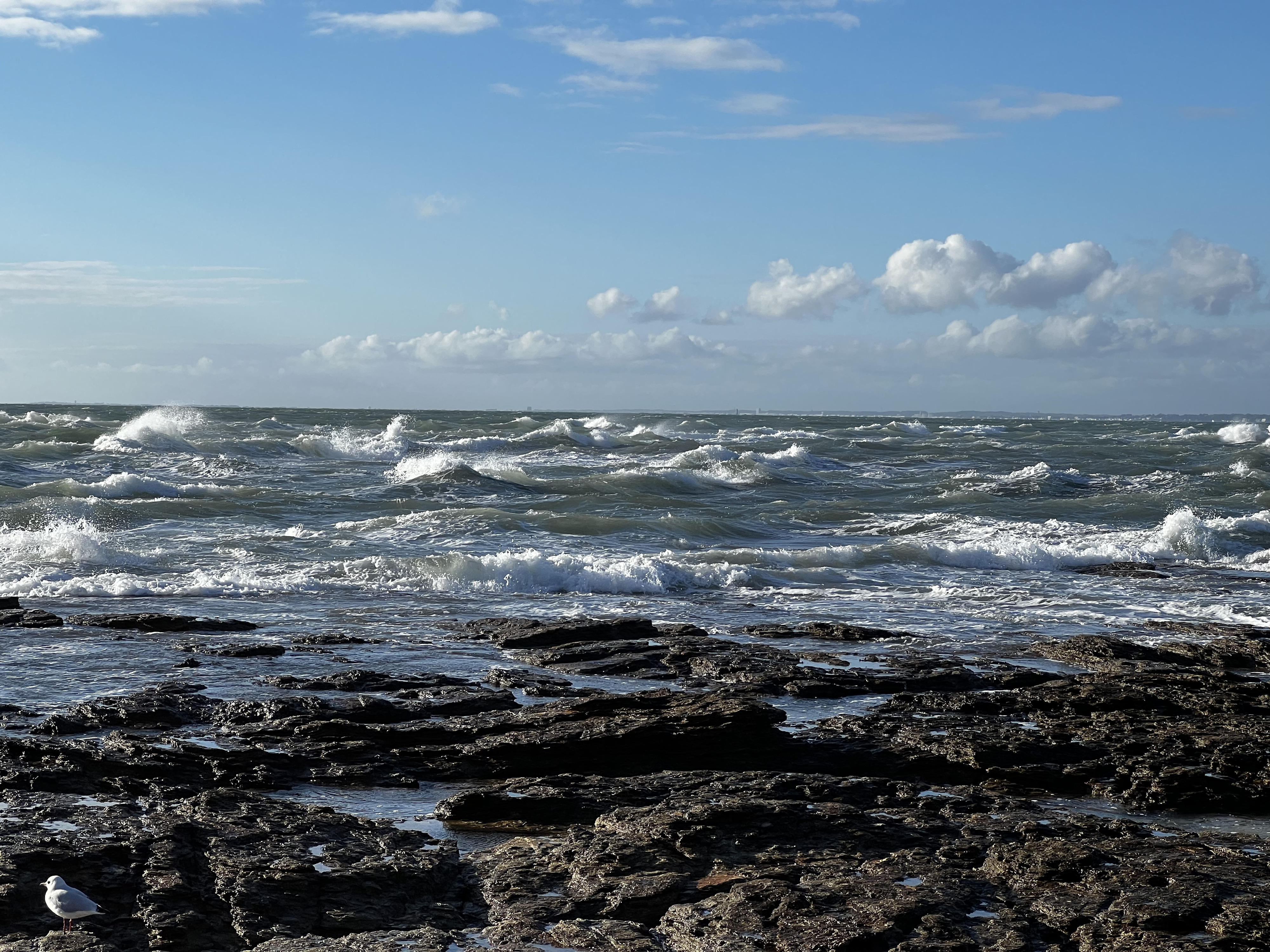 Picture France La Plaine sur mer 2022-09 81 - Recreation La Plaine sur mer