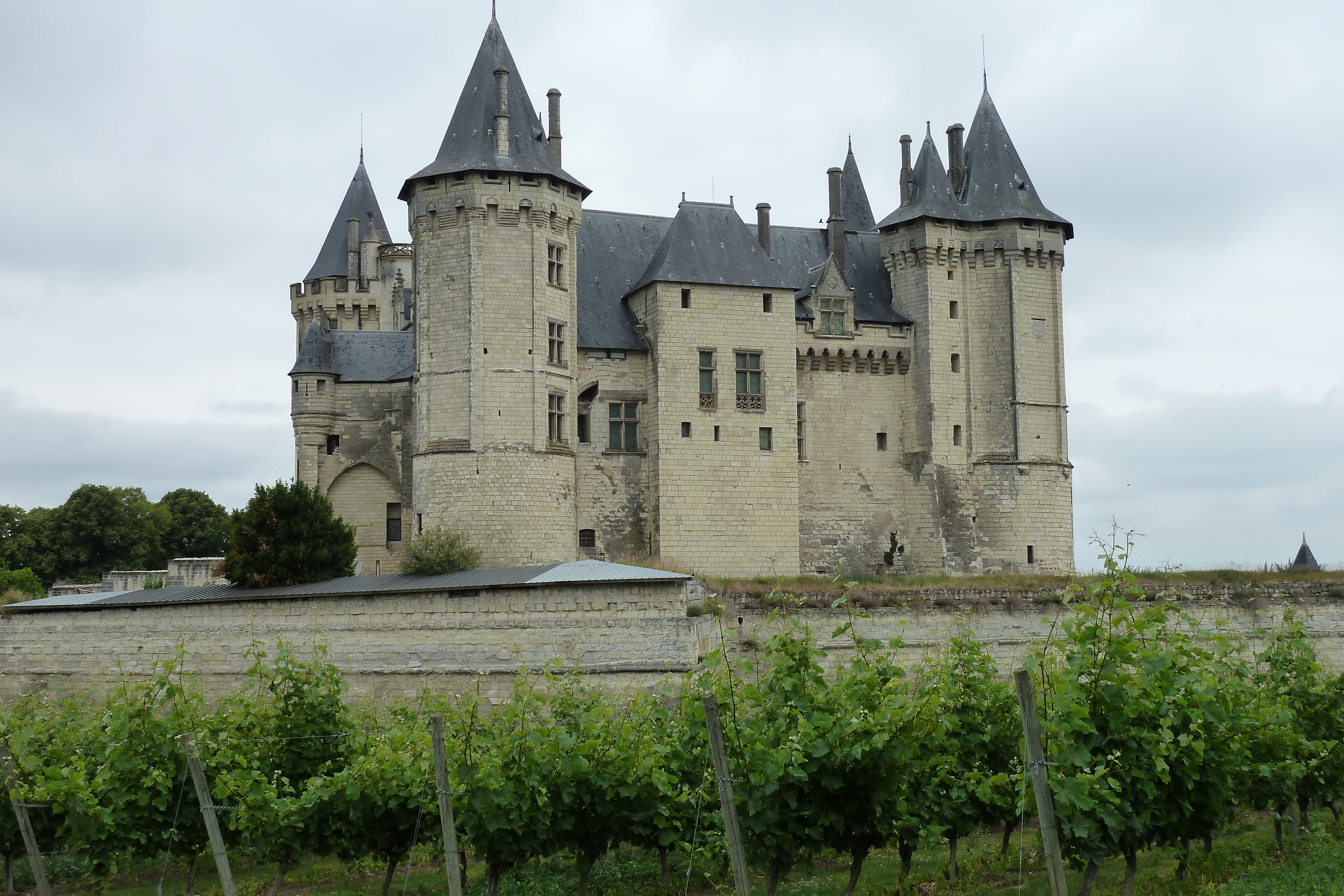 Picture France Saumur 2011-05 32 - Discovery Saumur