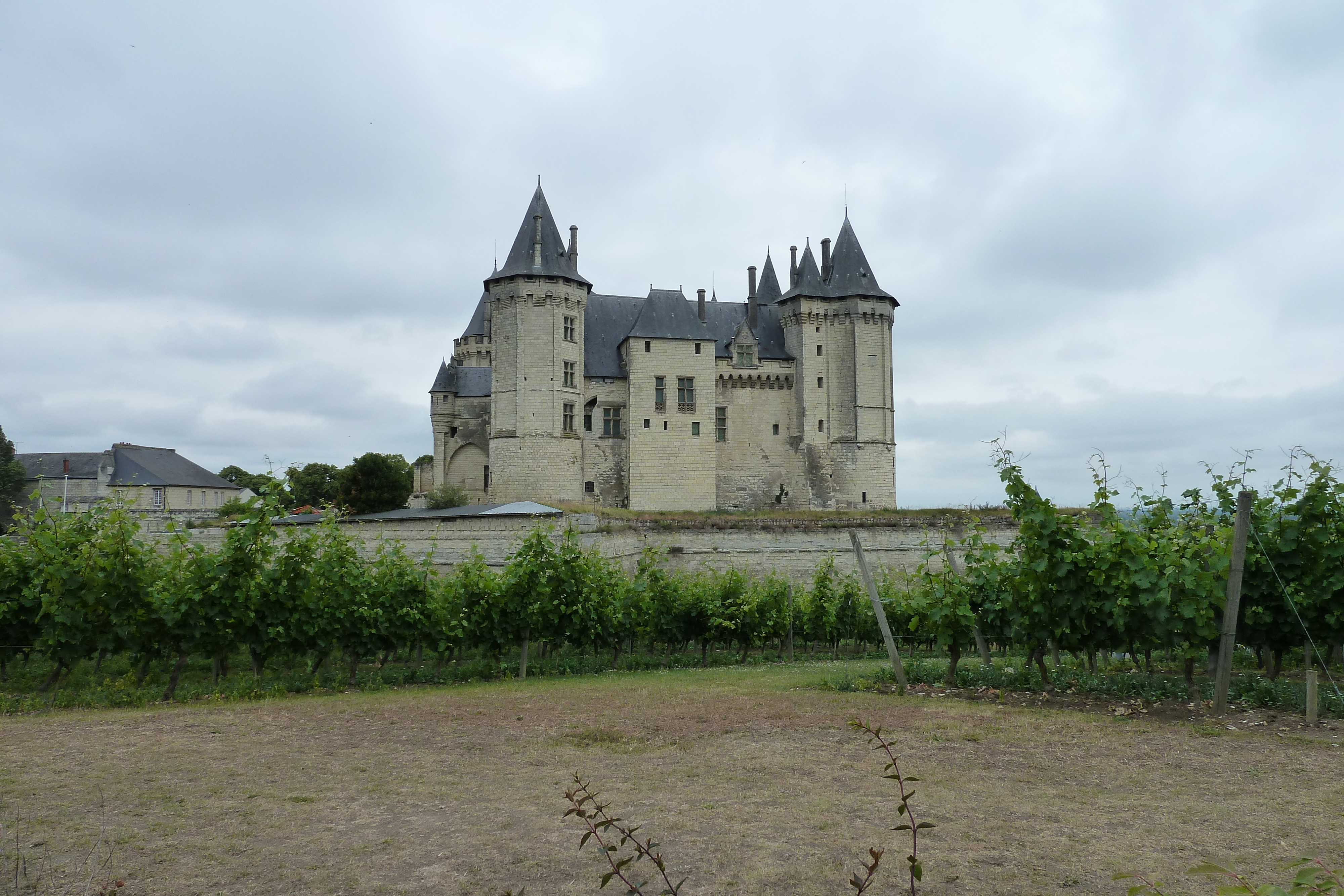 Picture France Saumur 2011-05 29 - Discovery Saumur