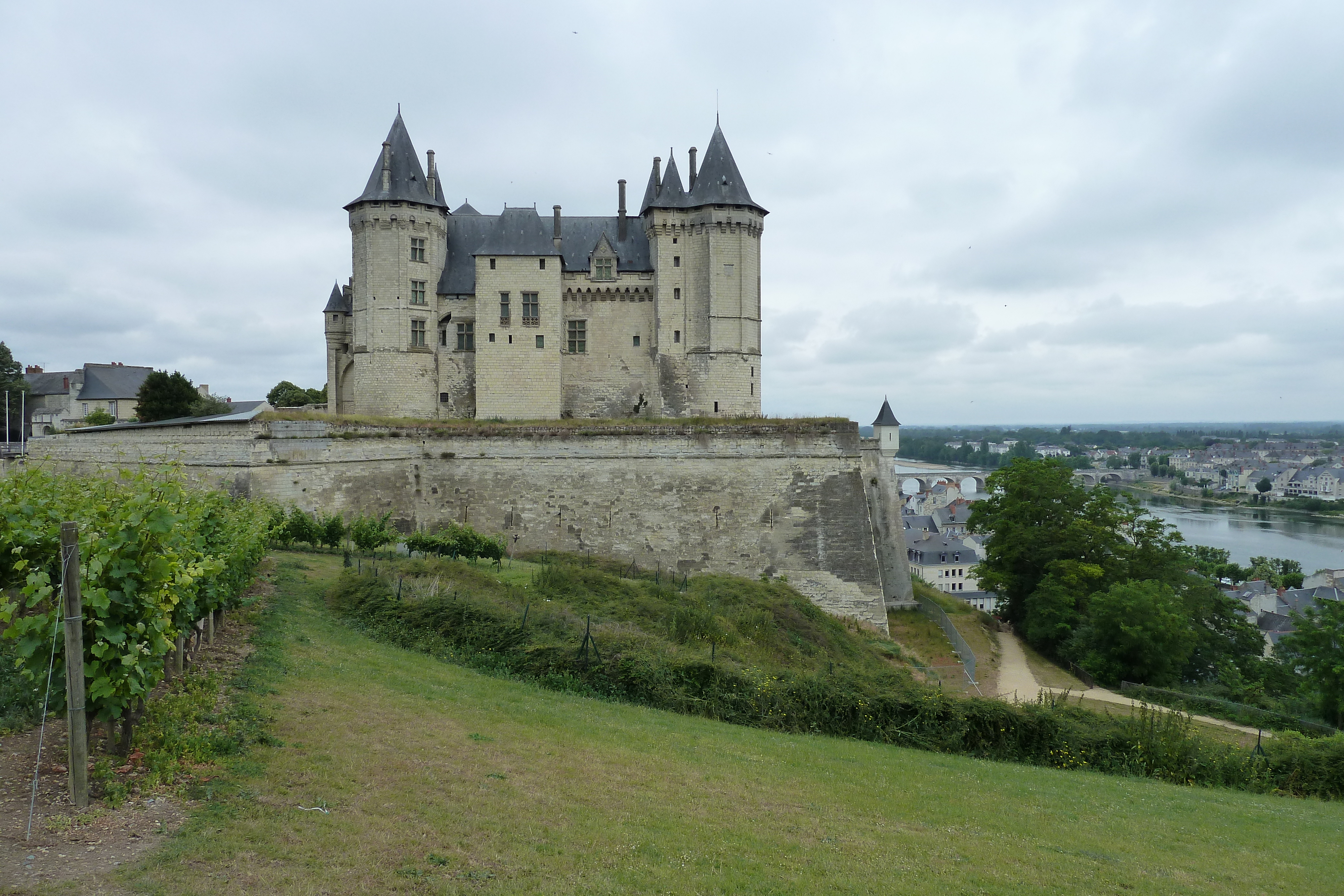 Picture France Saumur 2011-05 15 - Around Saumur