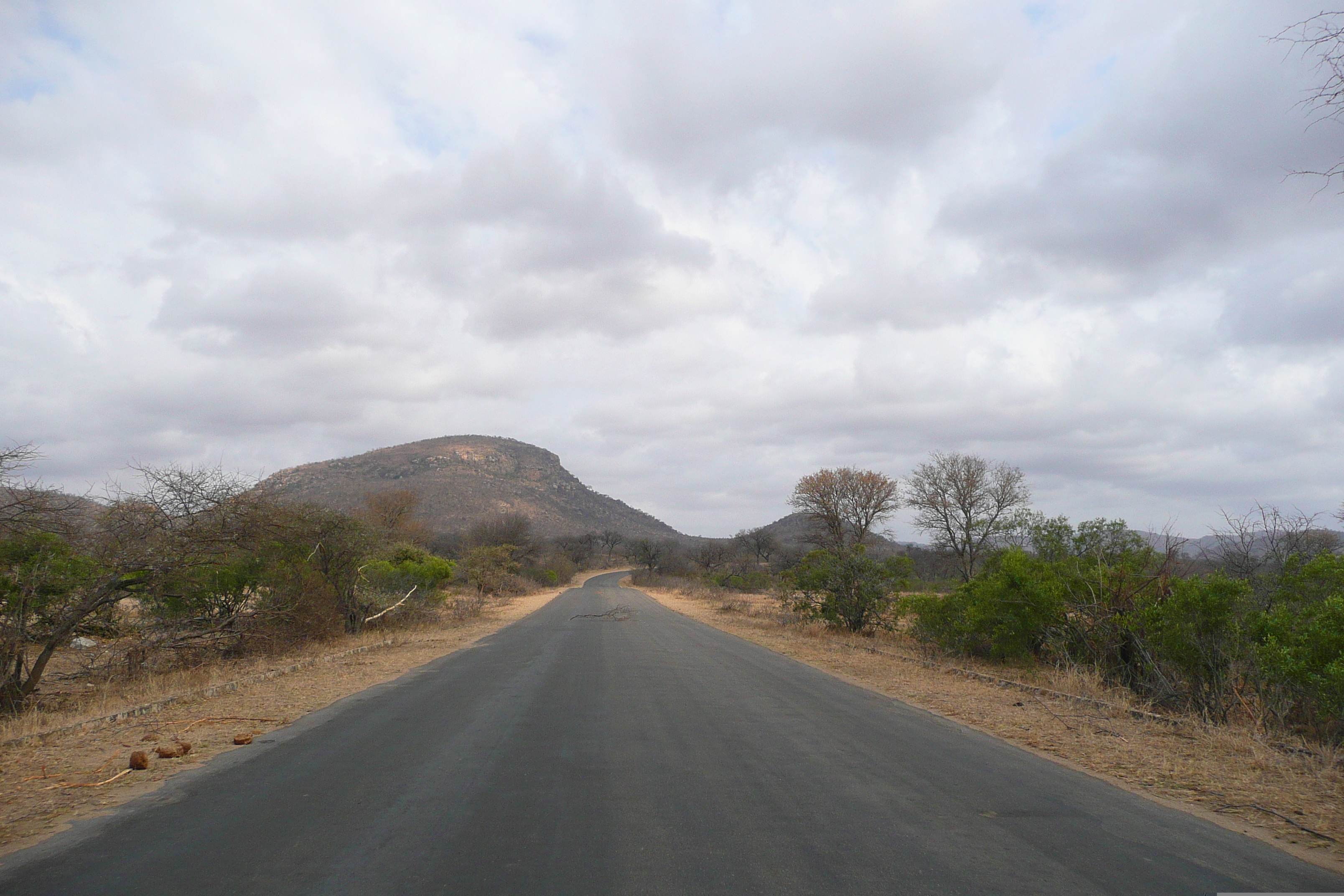 Picture South Africa Kruger National Park 2008-09 47 - Discovery Kruger National Park