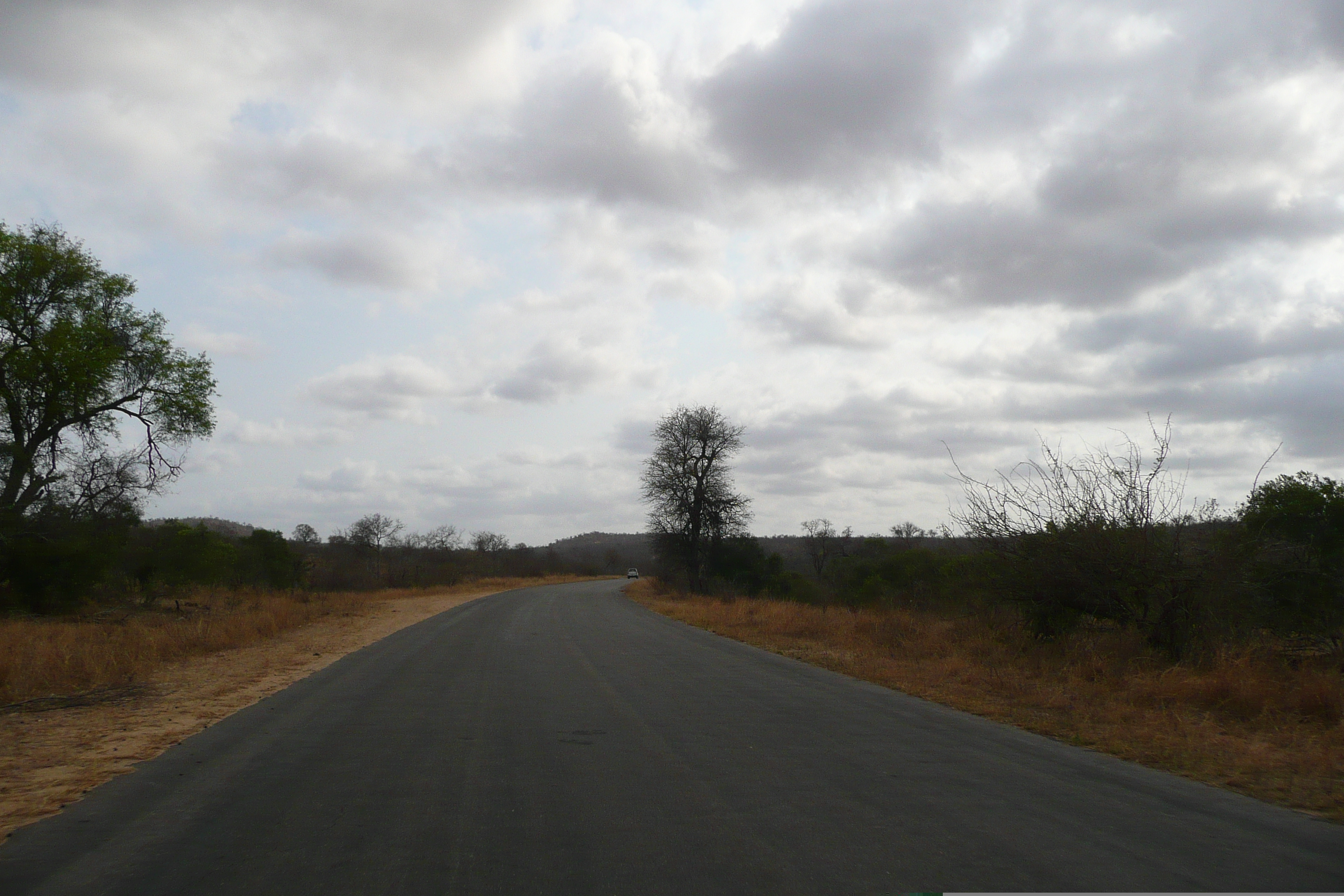 Picture South Africa Kruger National Park 2008-09 97 - Center Kruger National Park