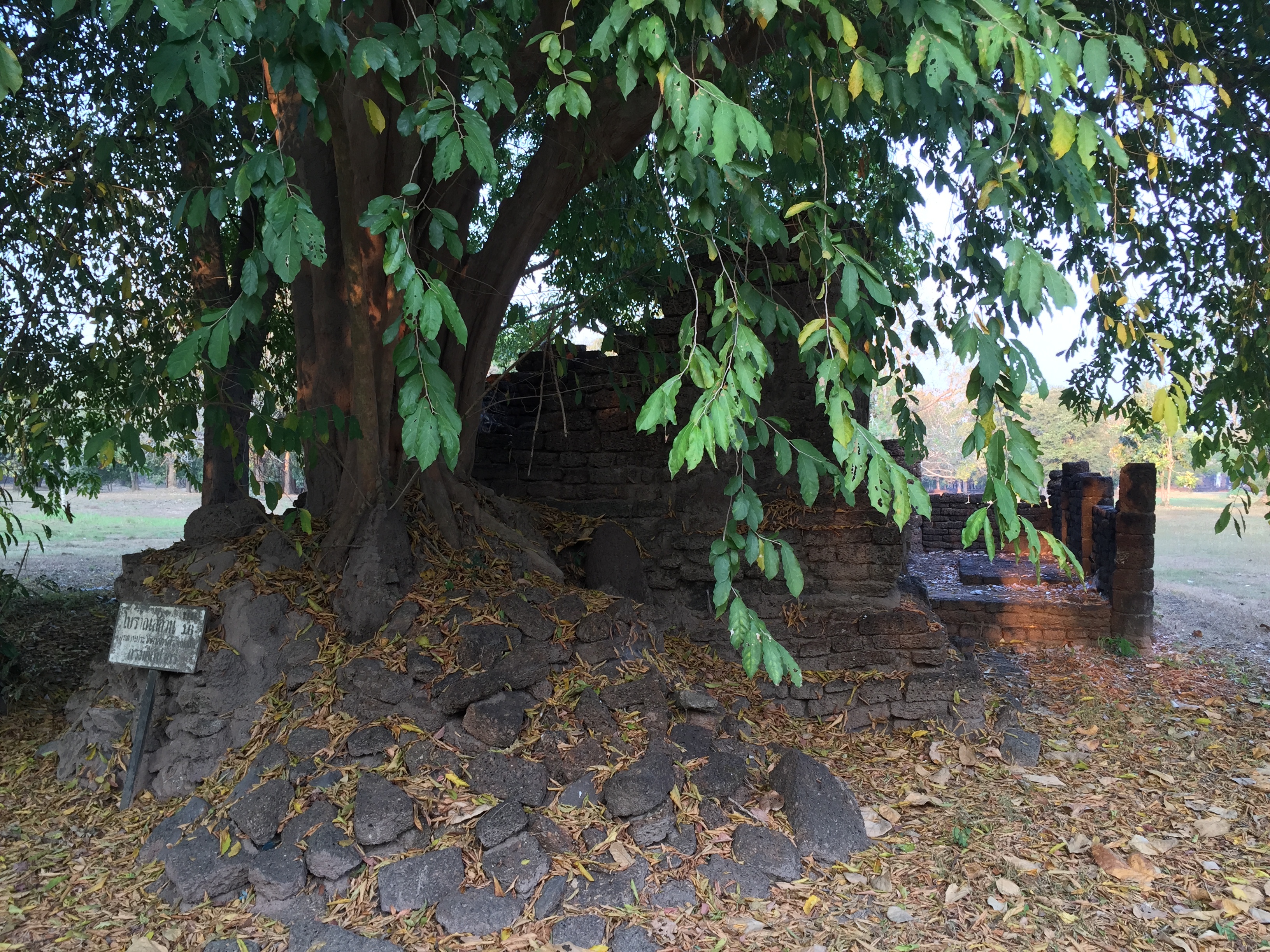 Picture Thailand Si satchanalai historical park 2014-12 121 - Recreation Si satchanalai historical park