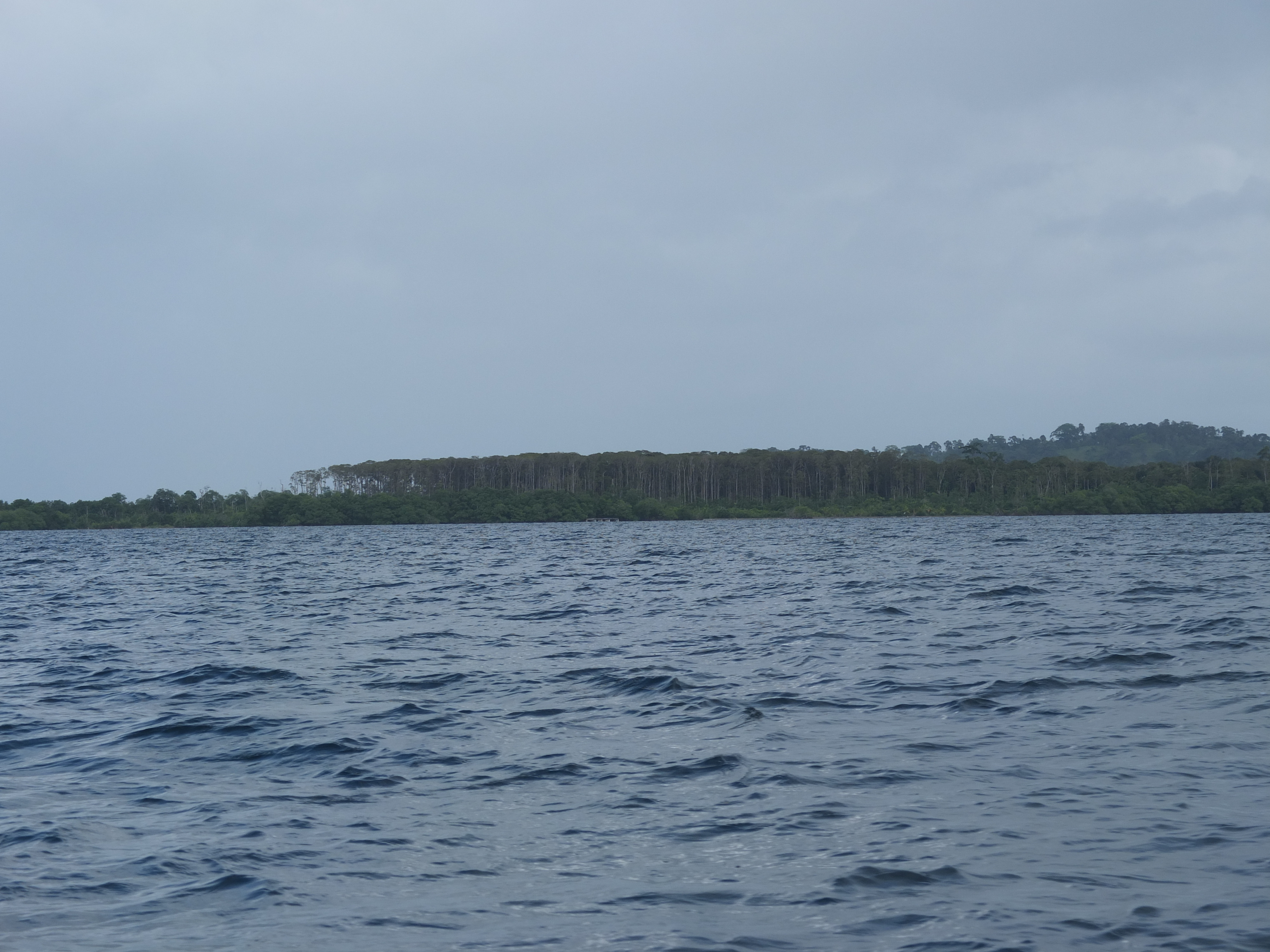 Picture Panama Bocas del toro 2015-03 26 - Tours Bocas del toro