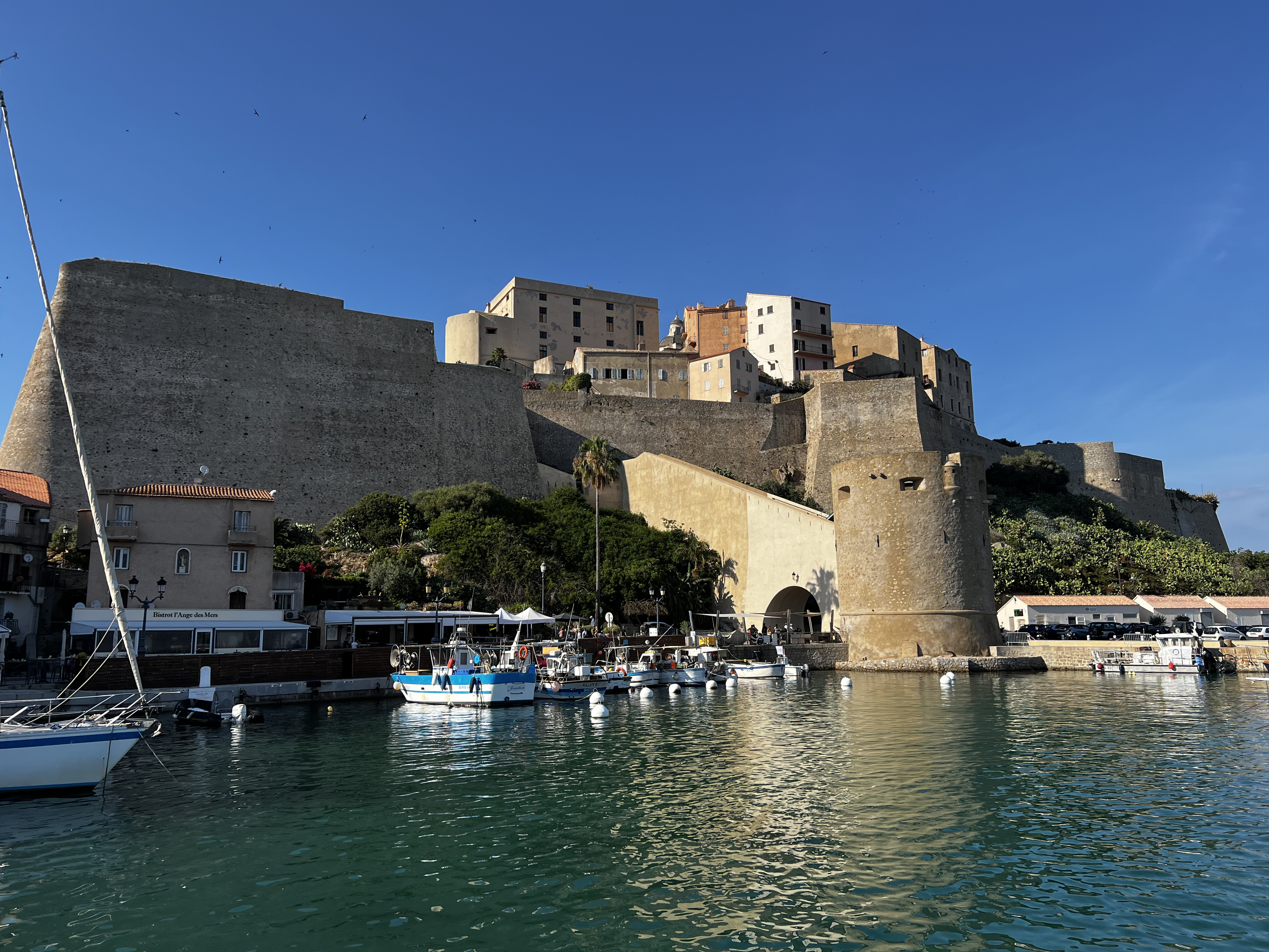 Picture France Corsica Calvi 2023-06 26 - Tours Calvi