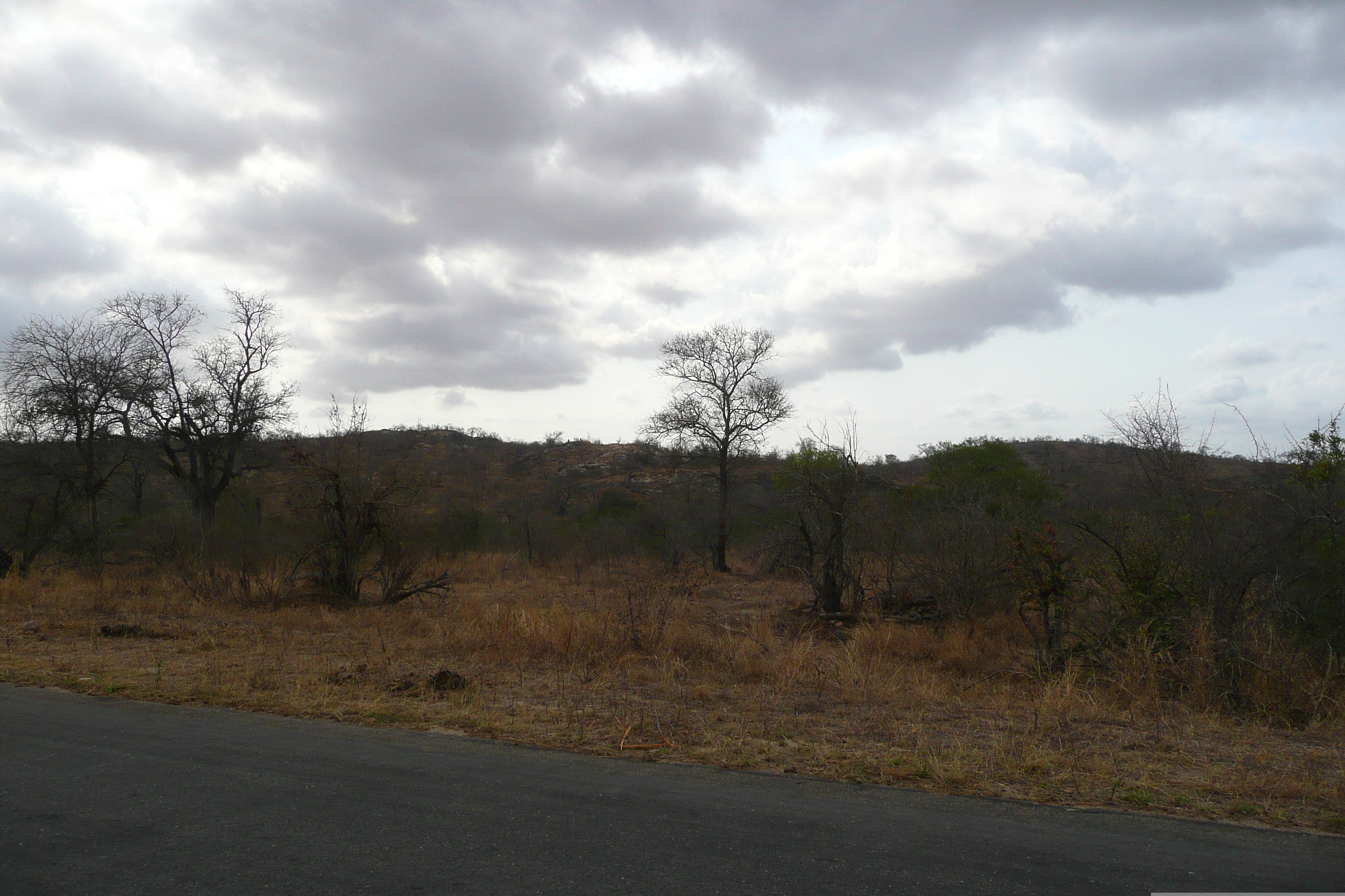 Picture South Africa Kruger National Park 2008-09 87 - Around Kruger National Park