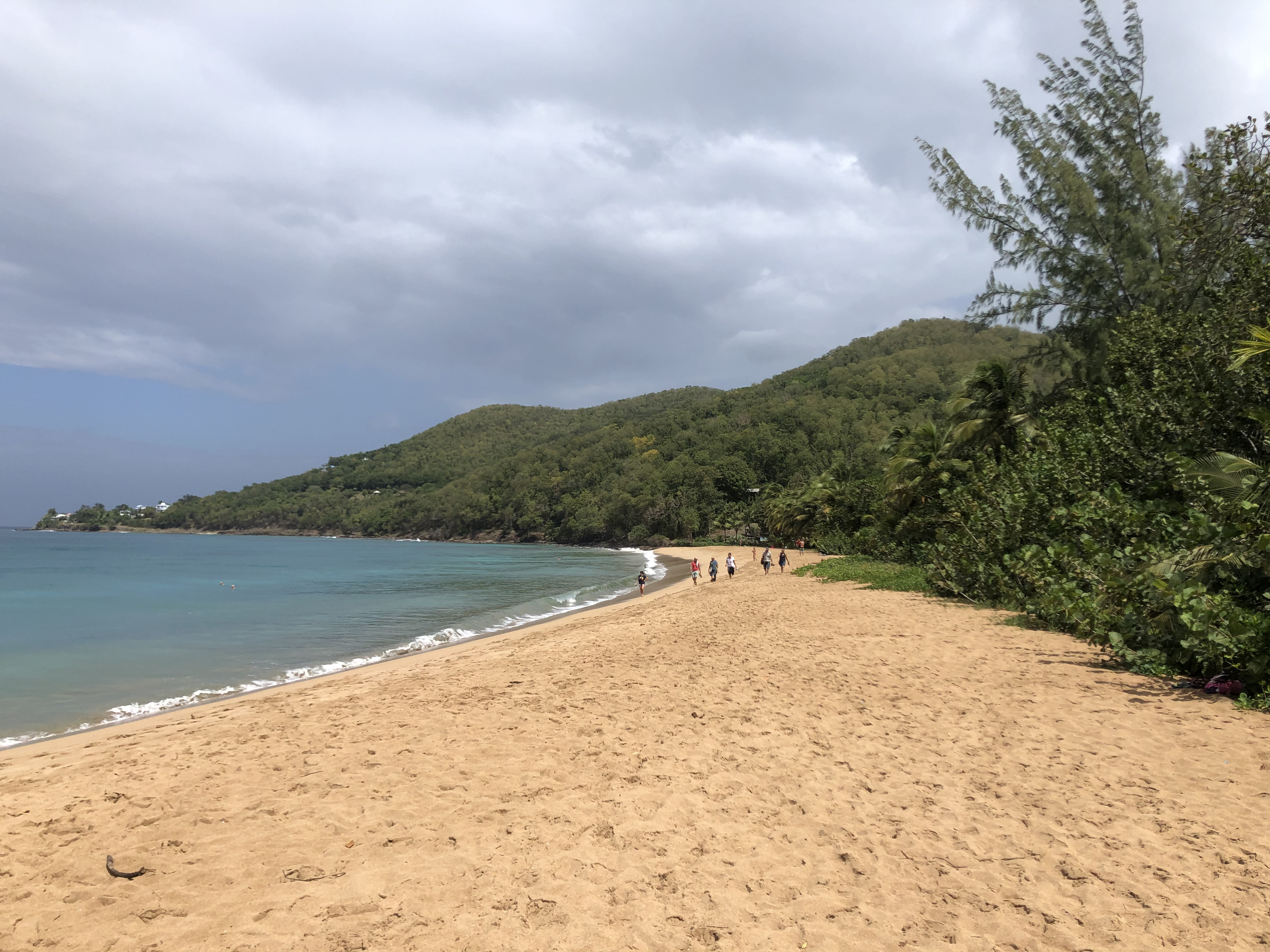 Picture Guadeloupe Grande Hanse Beach 2021-02 0 - Journey Grande Hanse Beach