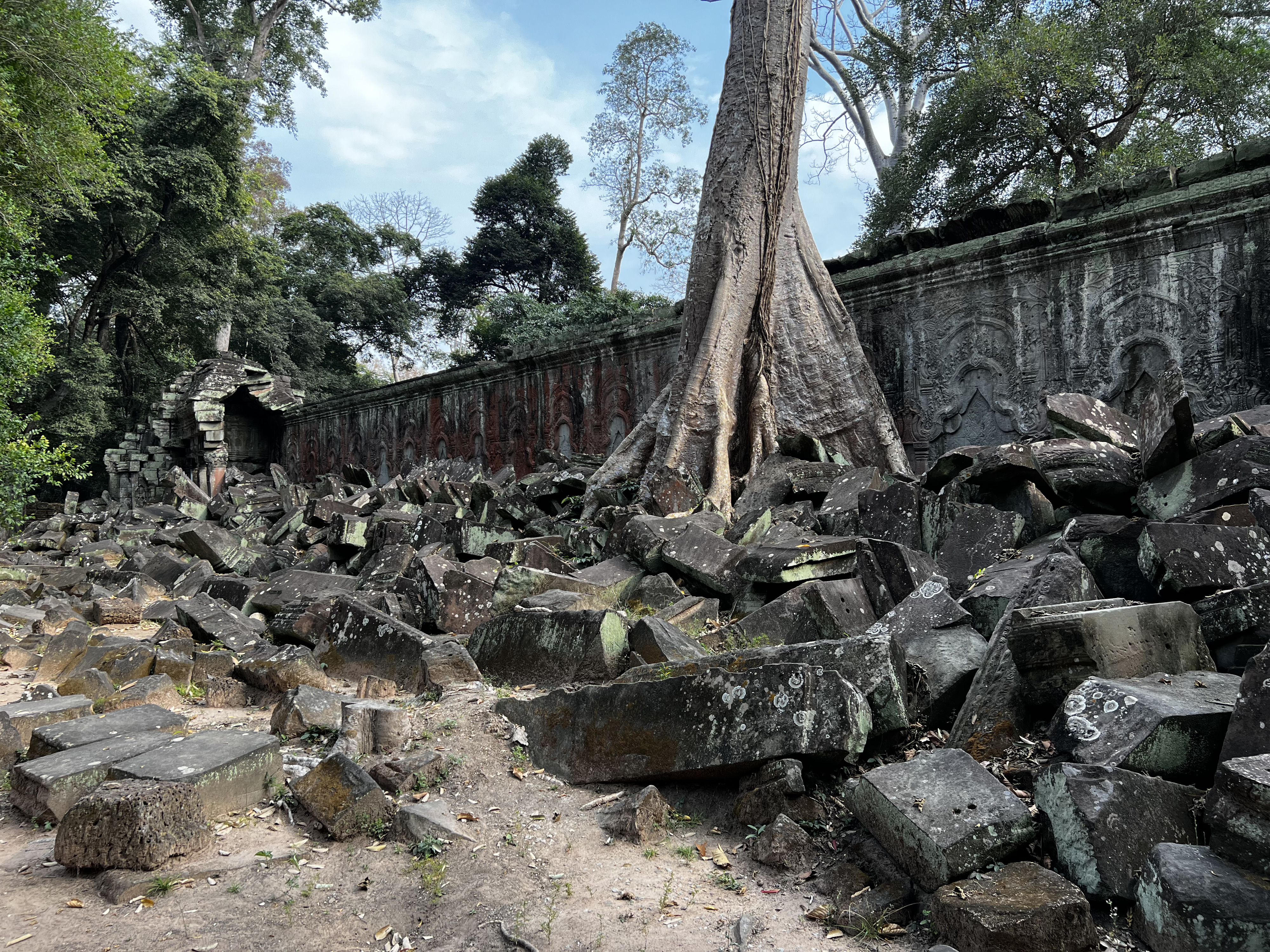 Picture Cambodia Siem Reap Ta Prohm 2023-01 12 - Tour Ta Prohm