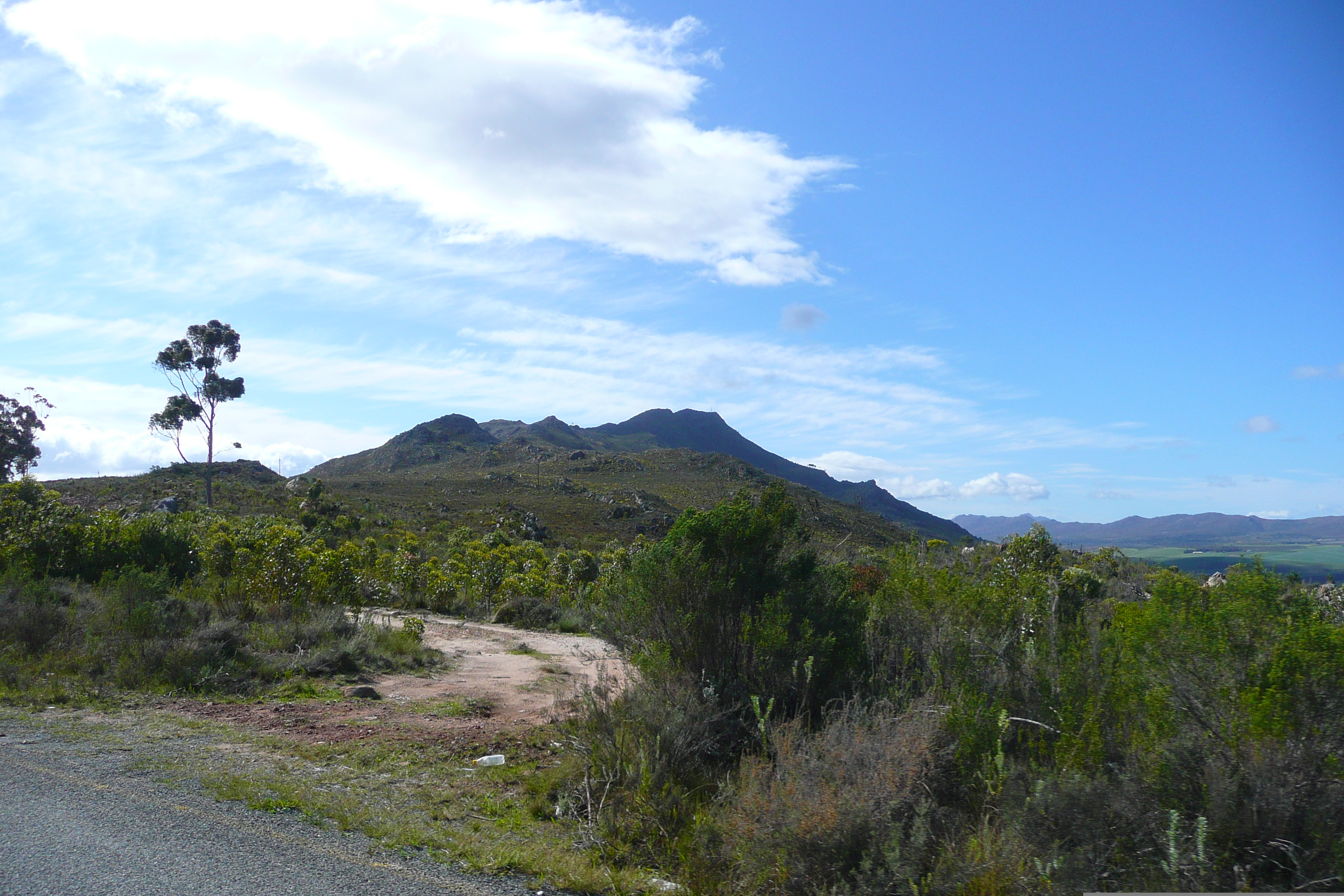 Picture South Africa Harmanus to Knysna road 2008-09 36 - Journey Harmanus to Knysna road