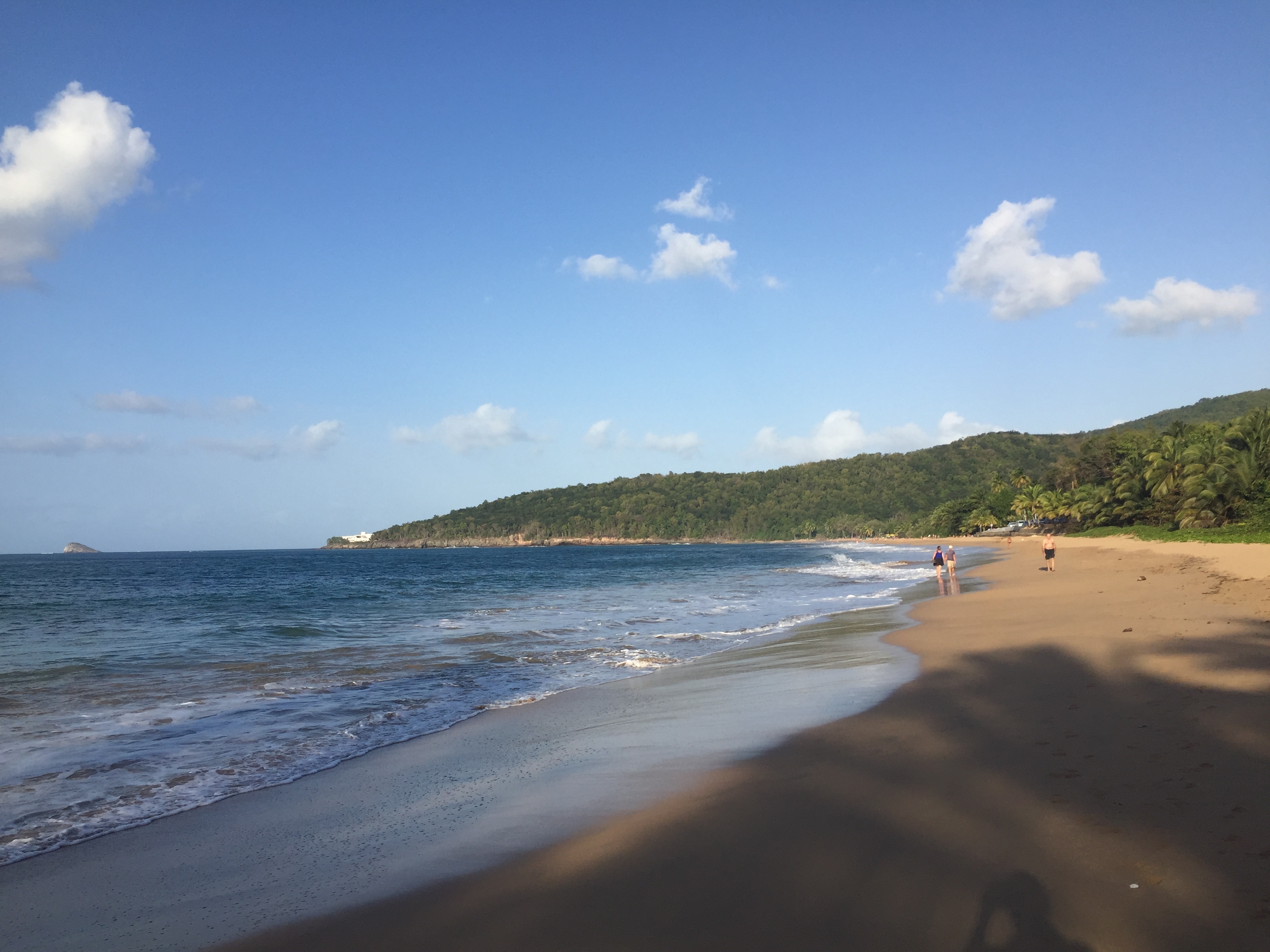 Picture Guadeloupe La Perle Beach 2021-02 124 - Discovery La Perle Beach