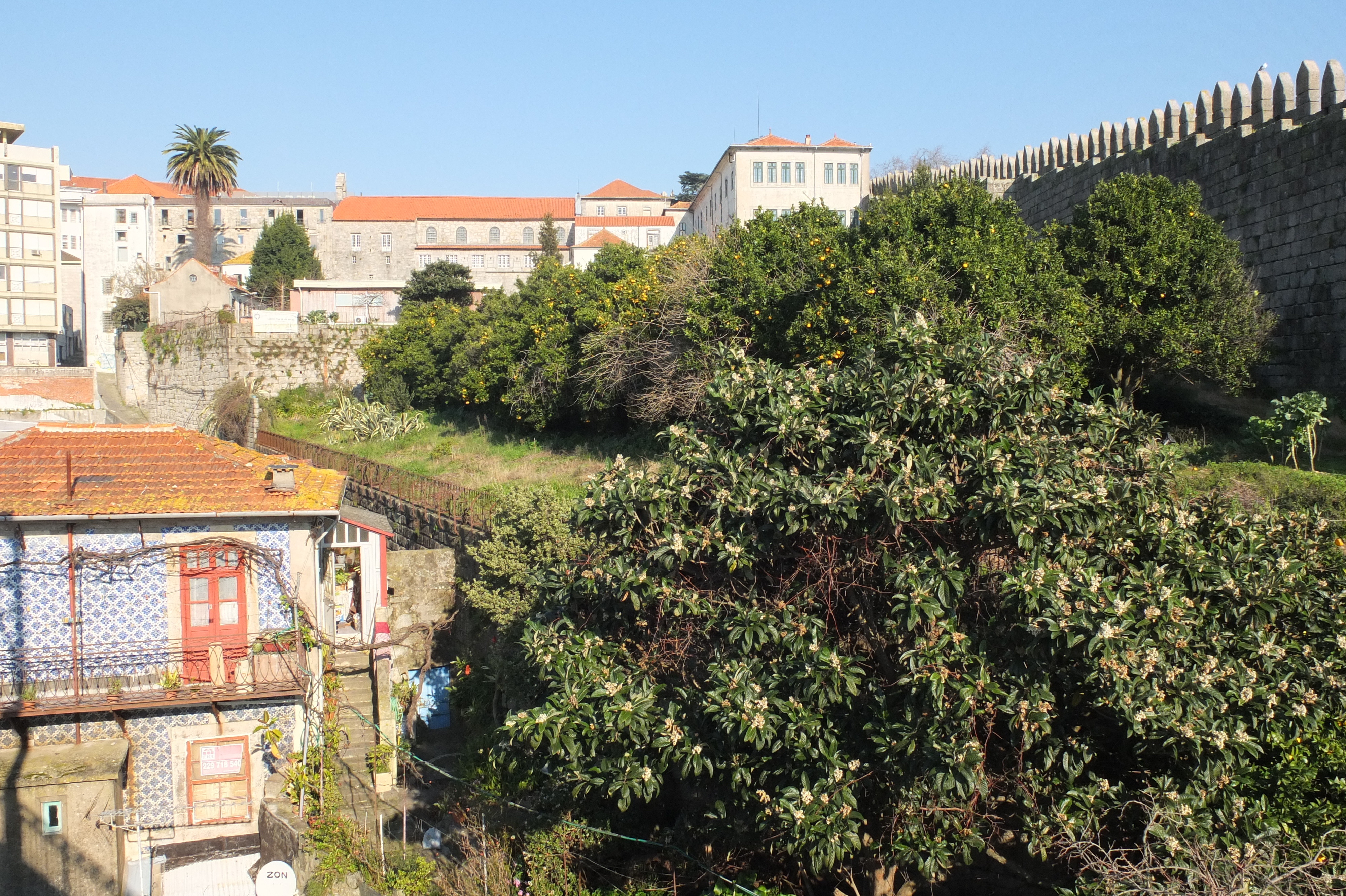 Picture Portugal Porto 2013-01 28 - History Porto