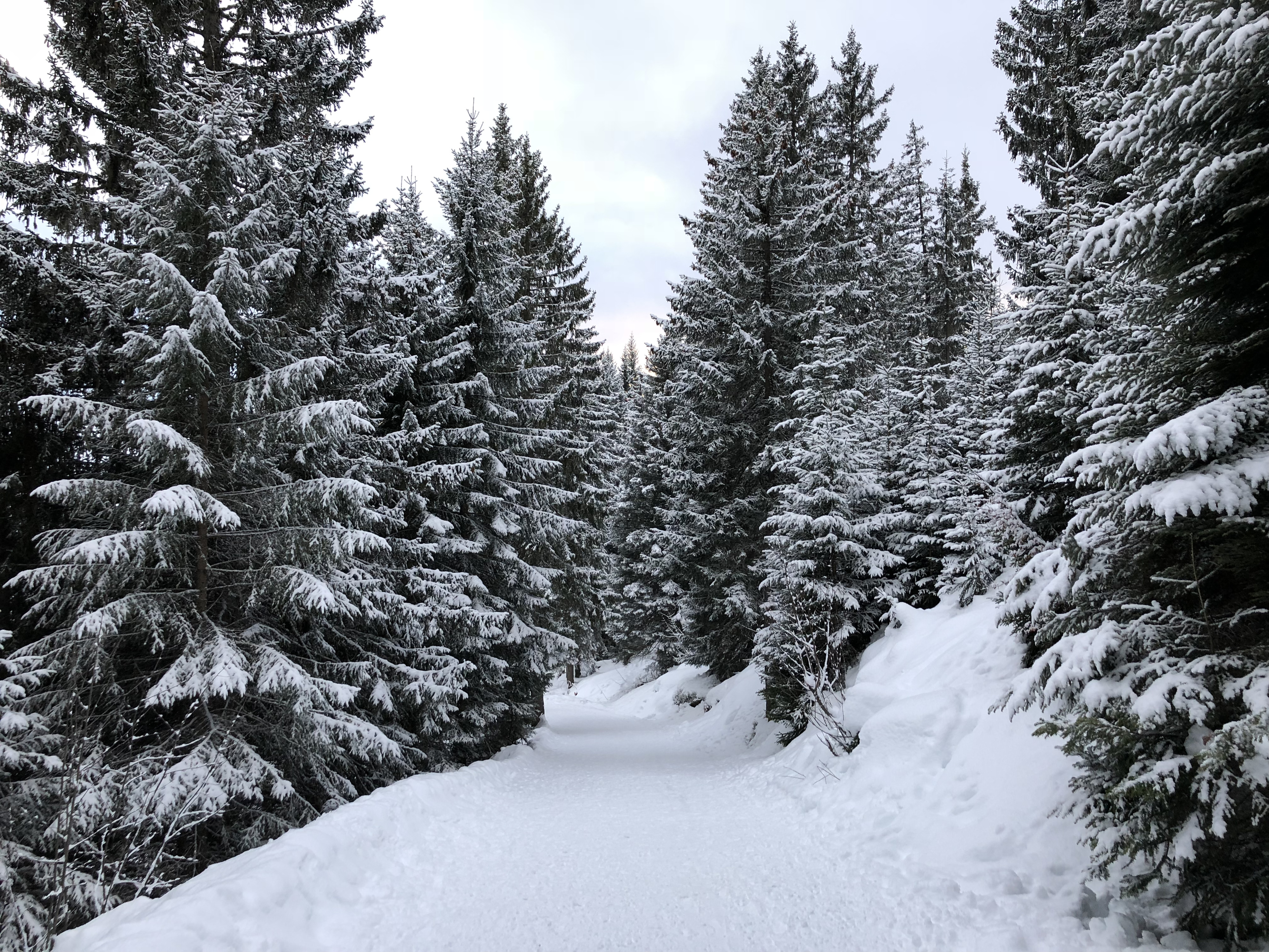 Picture France La Clusaz 2017-12 286 - Around La Clusaz