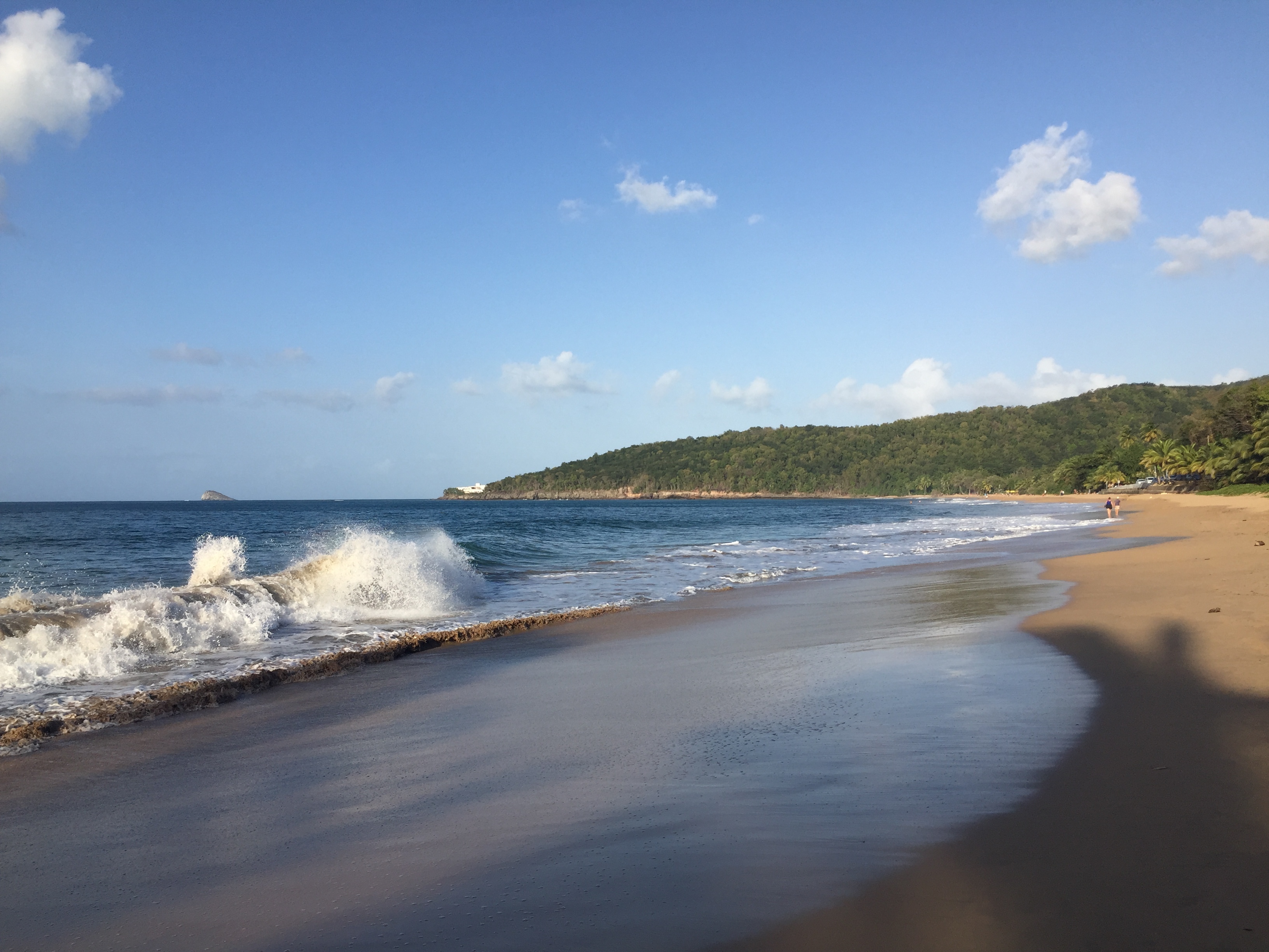 Picture Guadeloupe La Perle Beach 2021-02 20 - Tours La Perle Beach