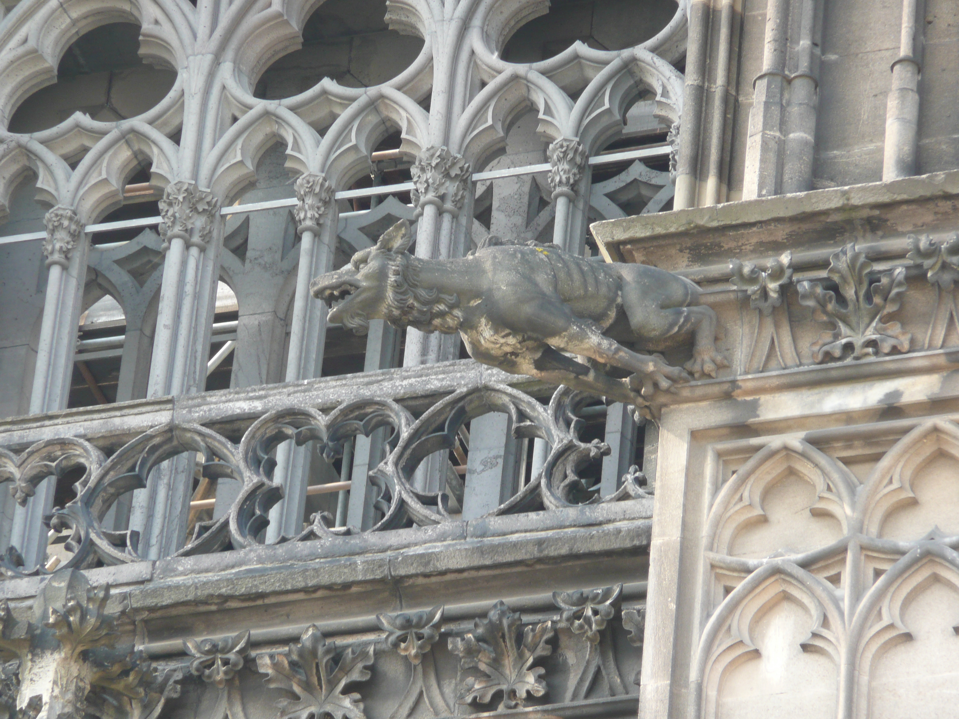 Picture Germany Cologne Cathedral 2007-05 185 - Tours Cathedral