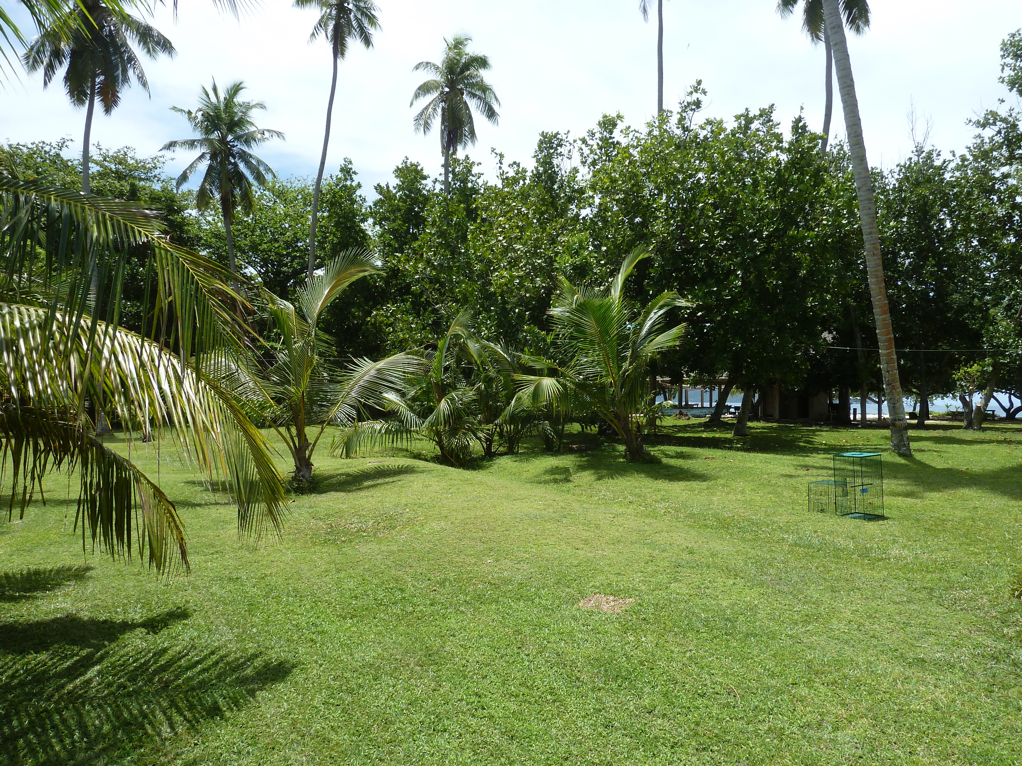 Picture Seychelles Grande Soeur 2011-10 90 - Center Grande Soeur