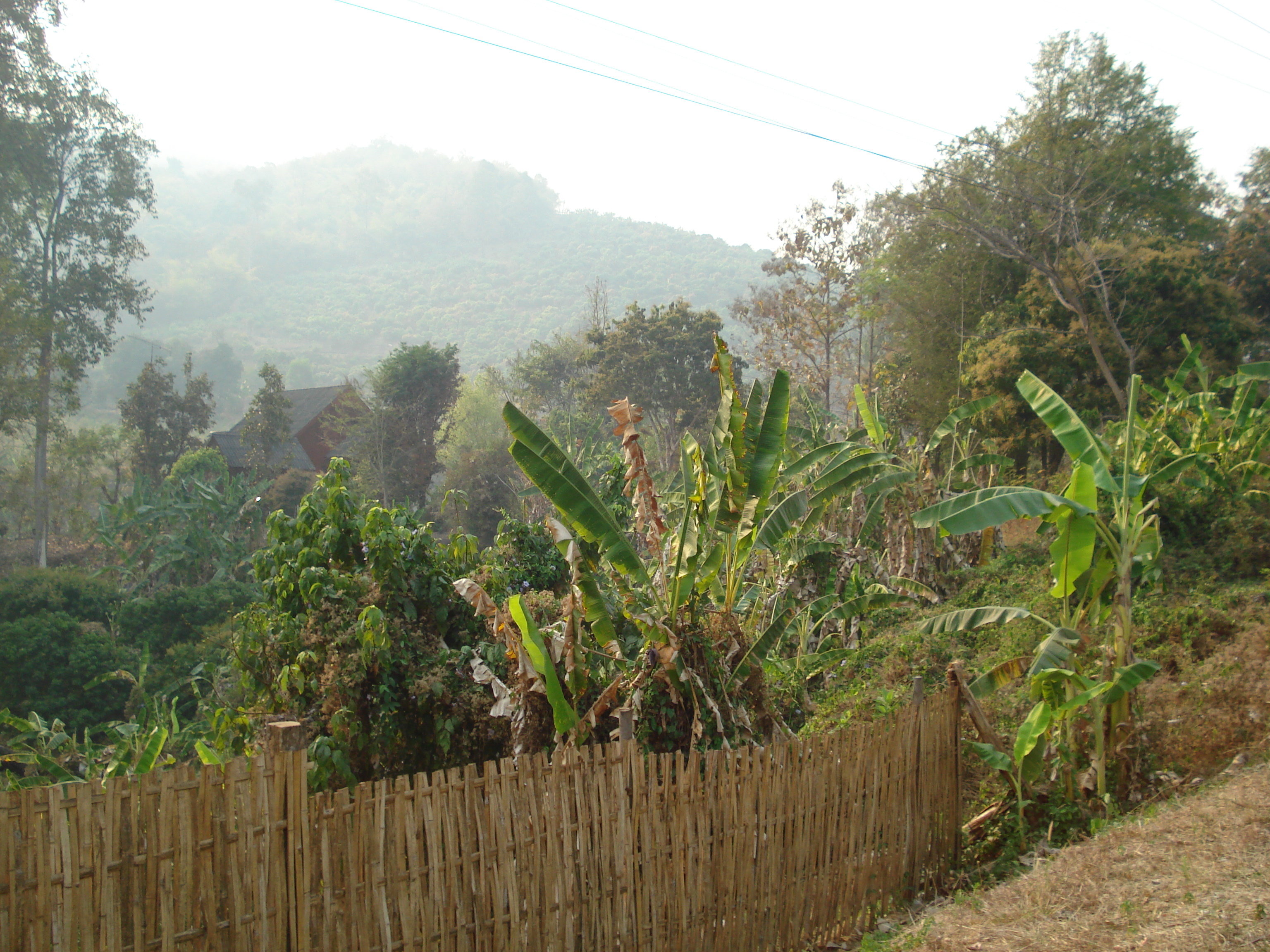 Picture Thailand Chiang Mai to Pai road 2007-02 20 - Tours Chiang Mai to Pai road