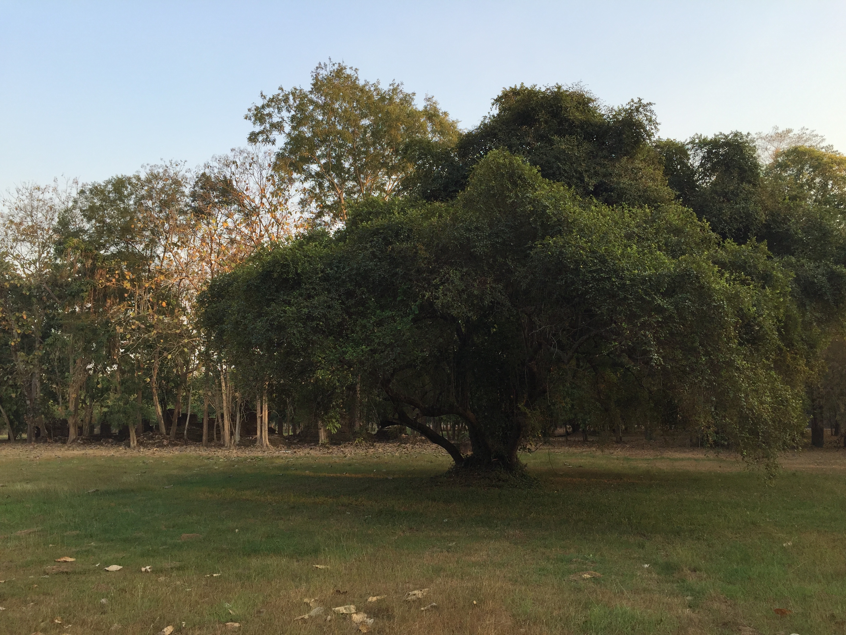 Picture Thailand Si satchanalai historical park 2014-12 56 - Tour Si satchanalai historical park